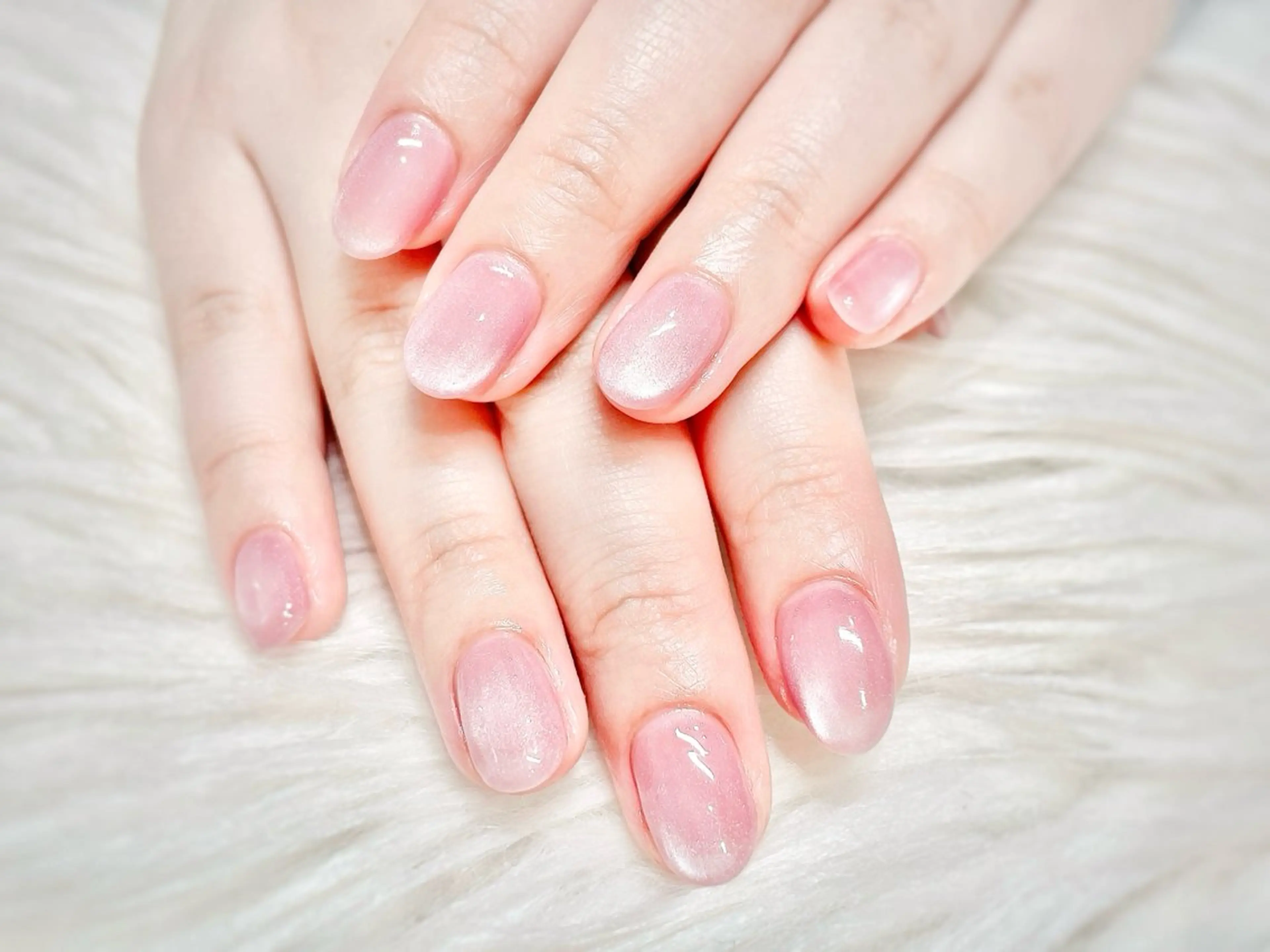 マグネット／ミラー/ユニコーンの写真