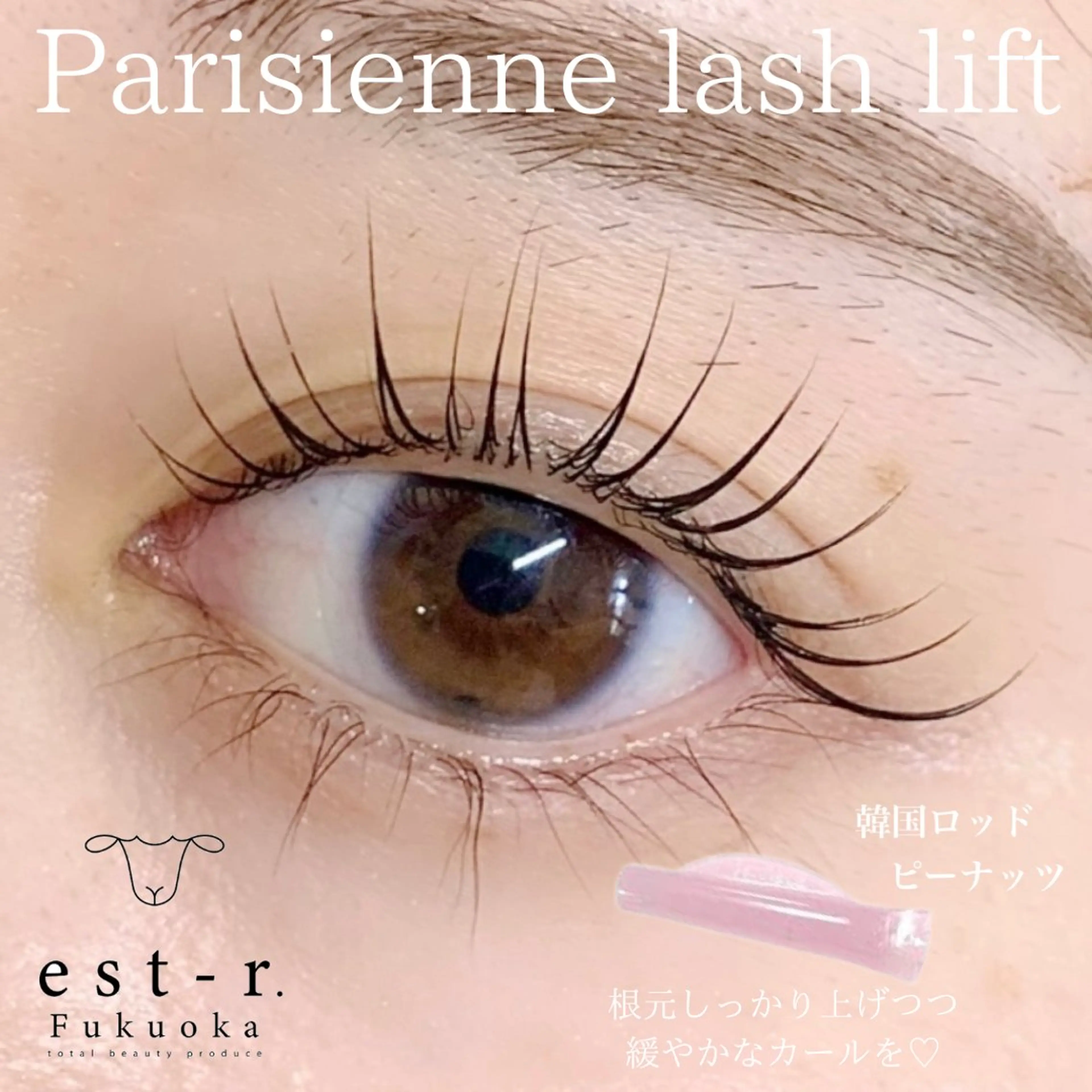 マツエク・マツパ マツパ Mai まつげパーマ/LEDのマツエク・マツパデザイン