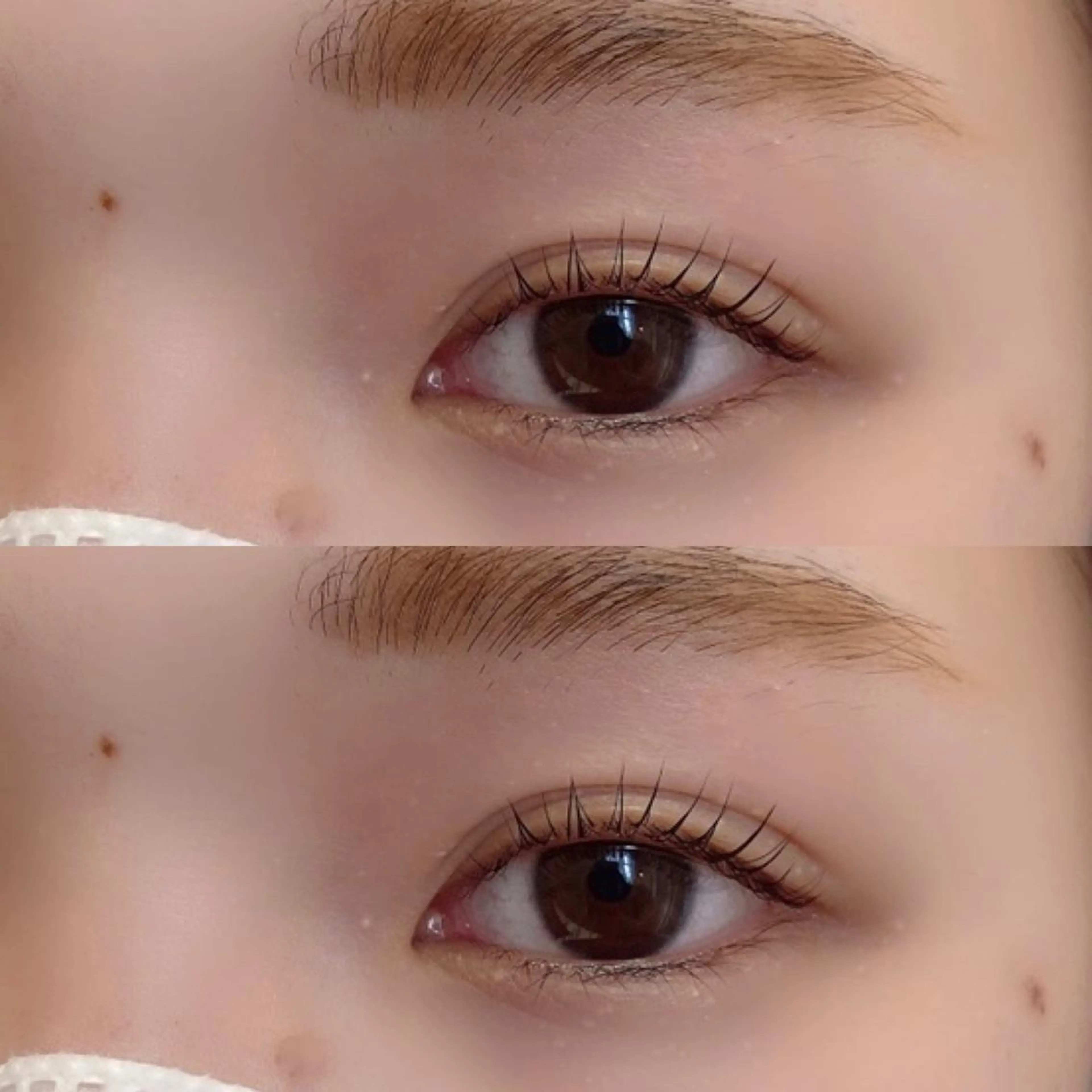 《ミニモ学割 U24 》 似合わせまつげパーマ*アイシャンプー付の写真