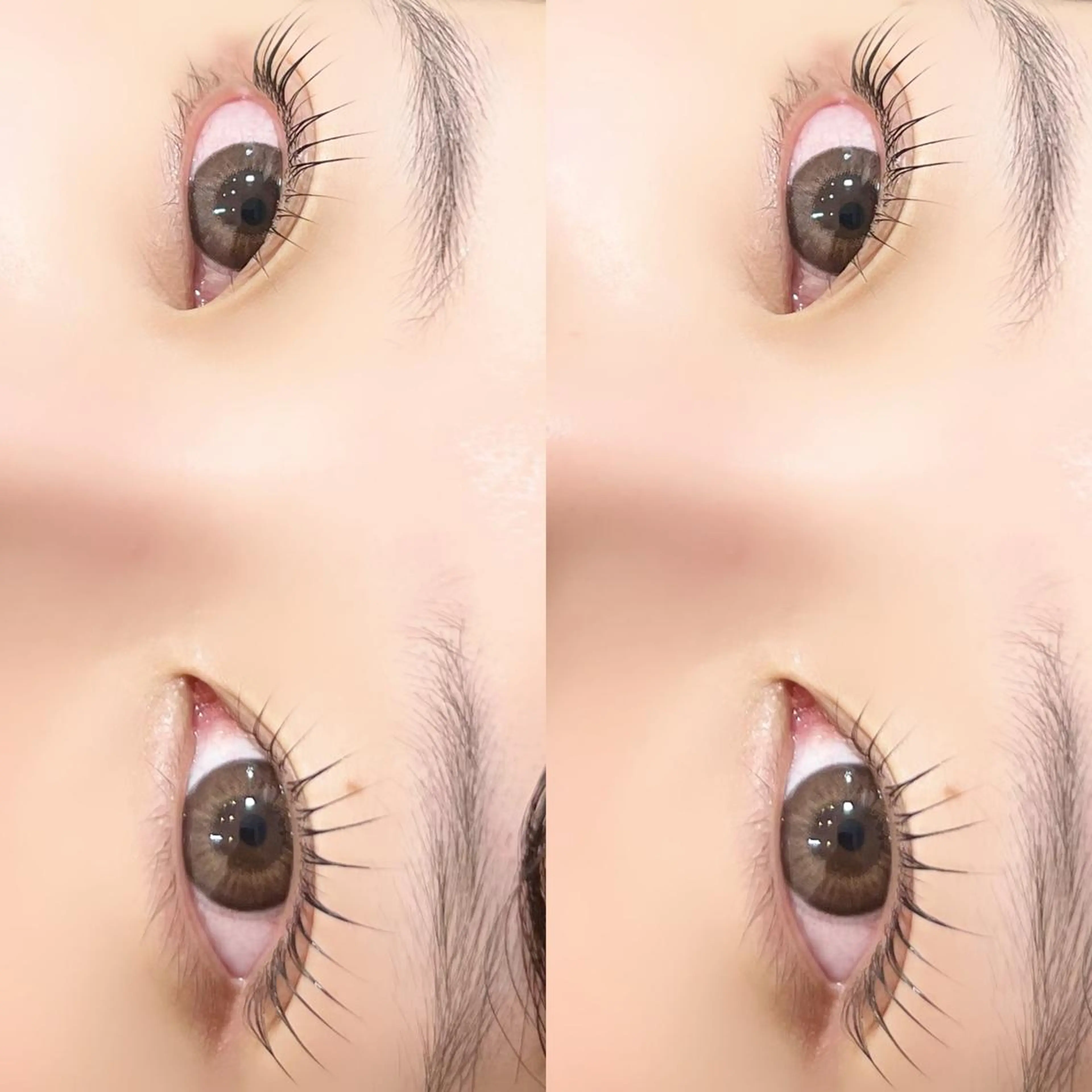 マツエク・マツパ パリジェンヌラッシュリフト 【myonsil】 Suzuki*のマツエク・マツパデザイン