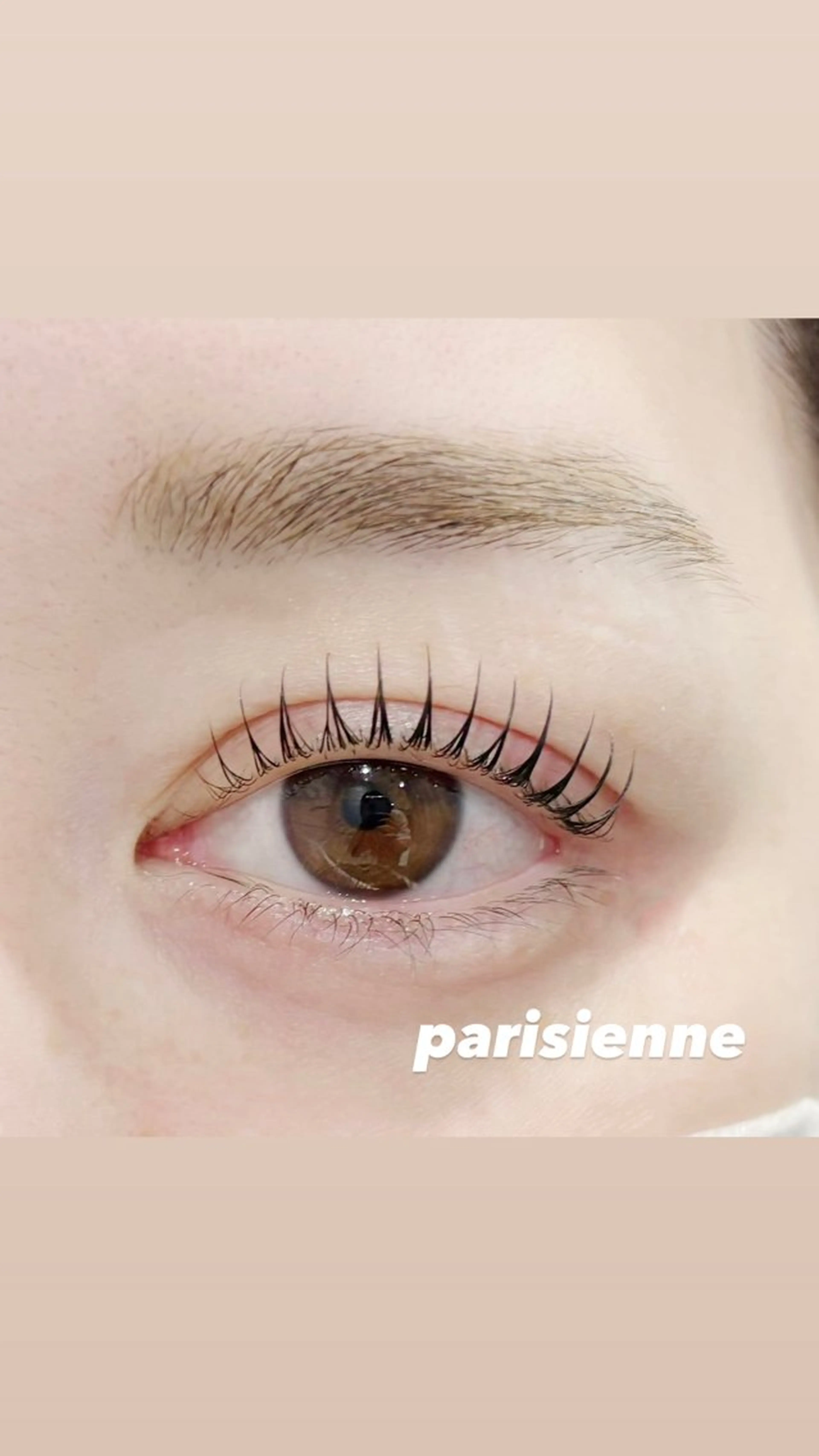 特別価格🫧パリジェンヌ🫧2回目 5500円   コーティング付き🪞の写真