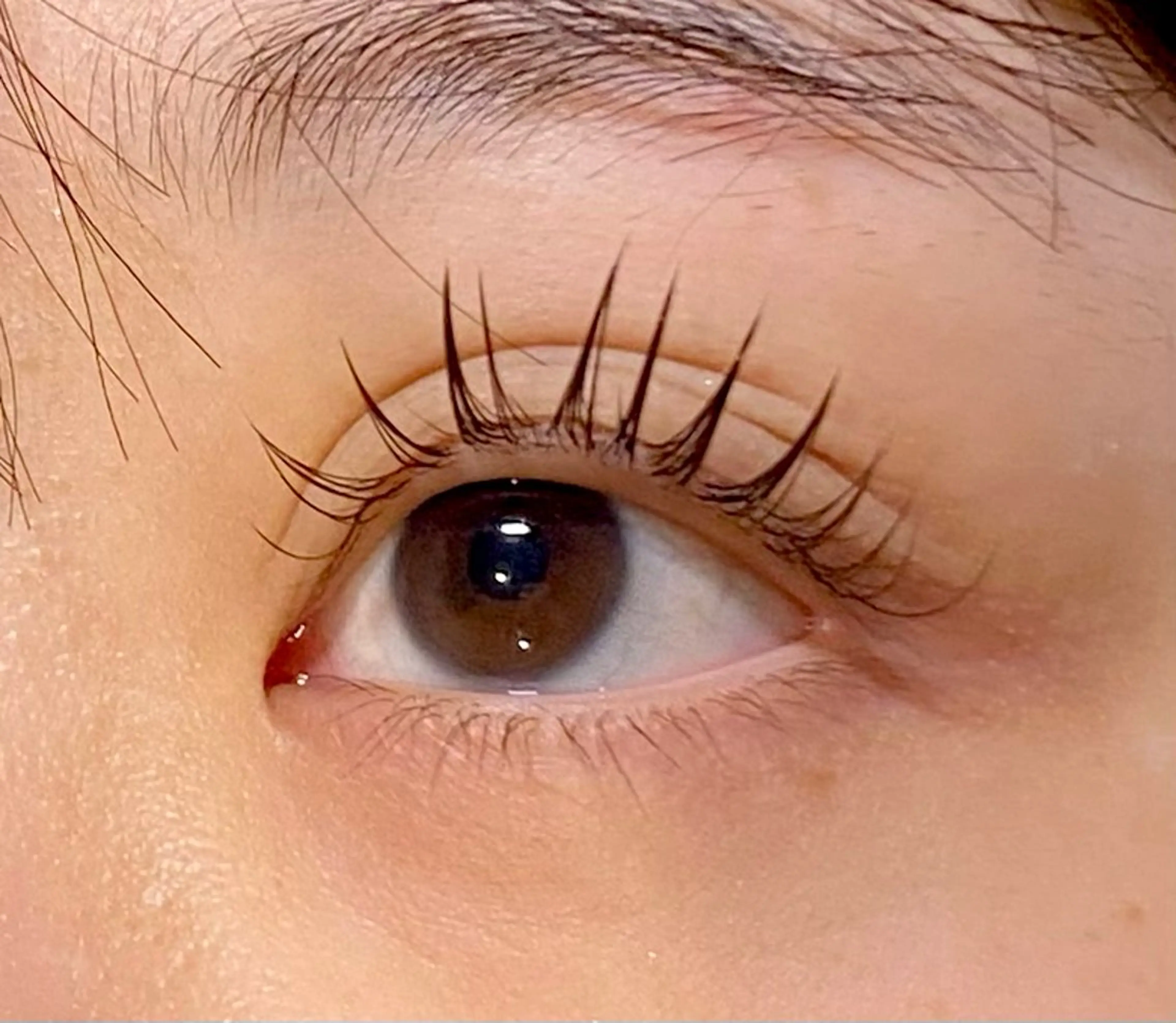 マツエク・マツパ Cカール フラットラッシュ Gioia  池袋所属・Gioia ワタナベのマツエク・マツパデザイン