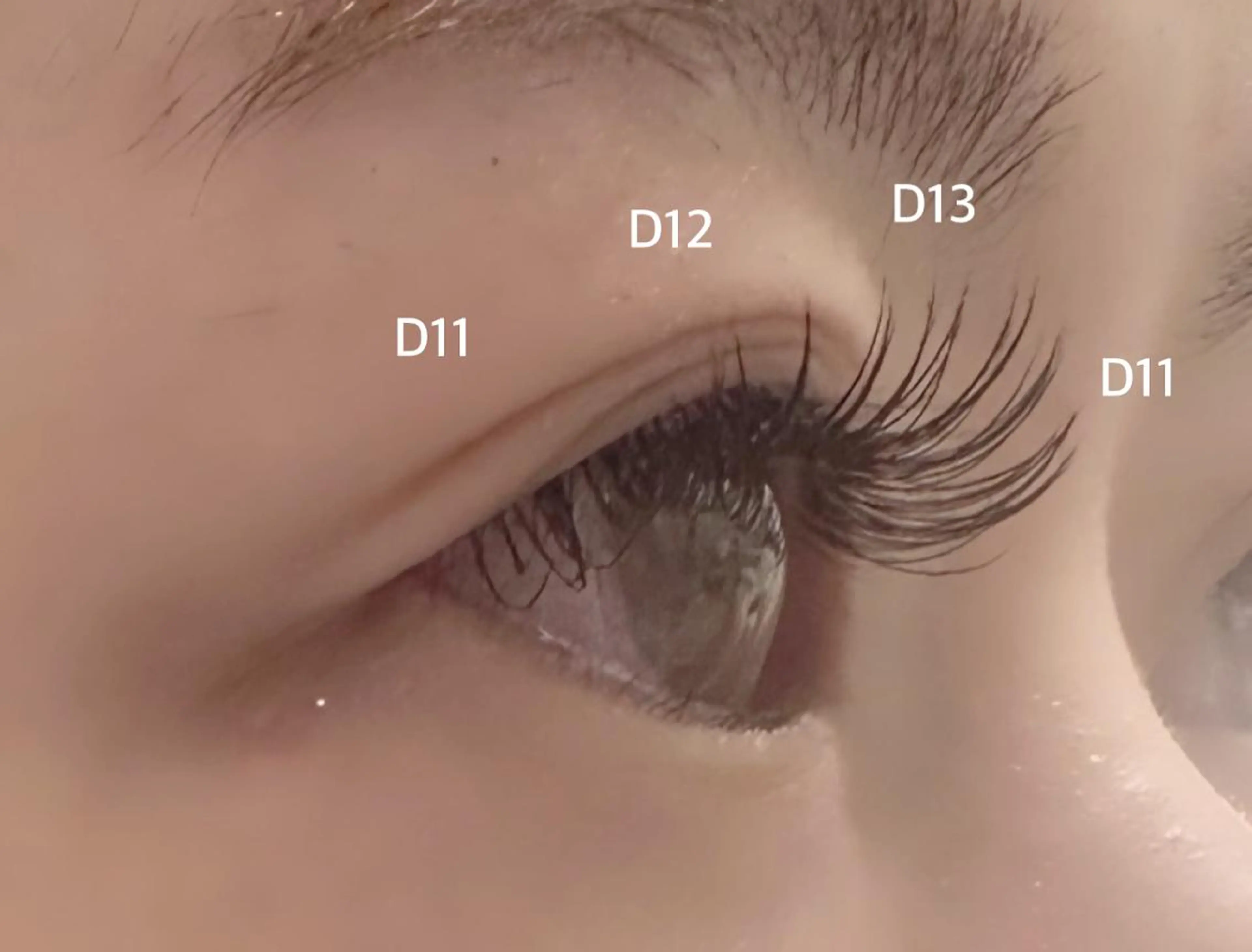 マツエク・マツパ Dカール フラットラッシュ Oli-Oli arisaのマツエク・マツパデザイン