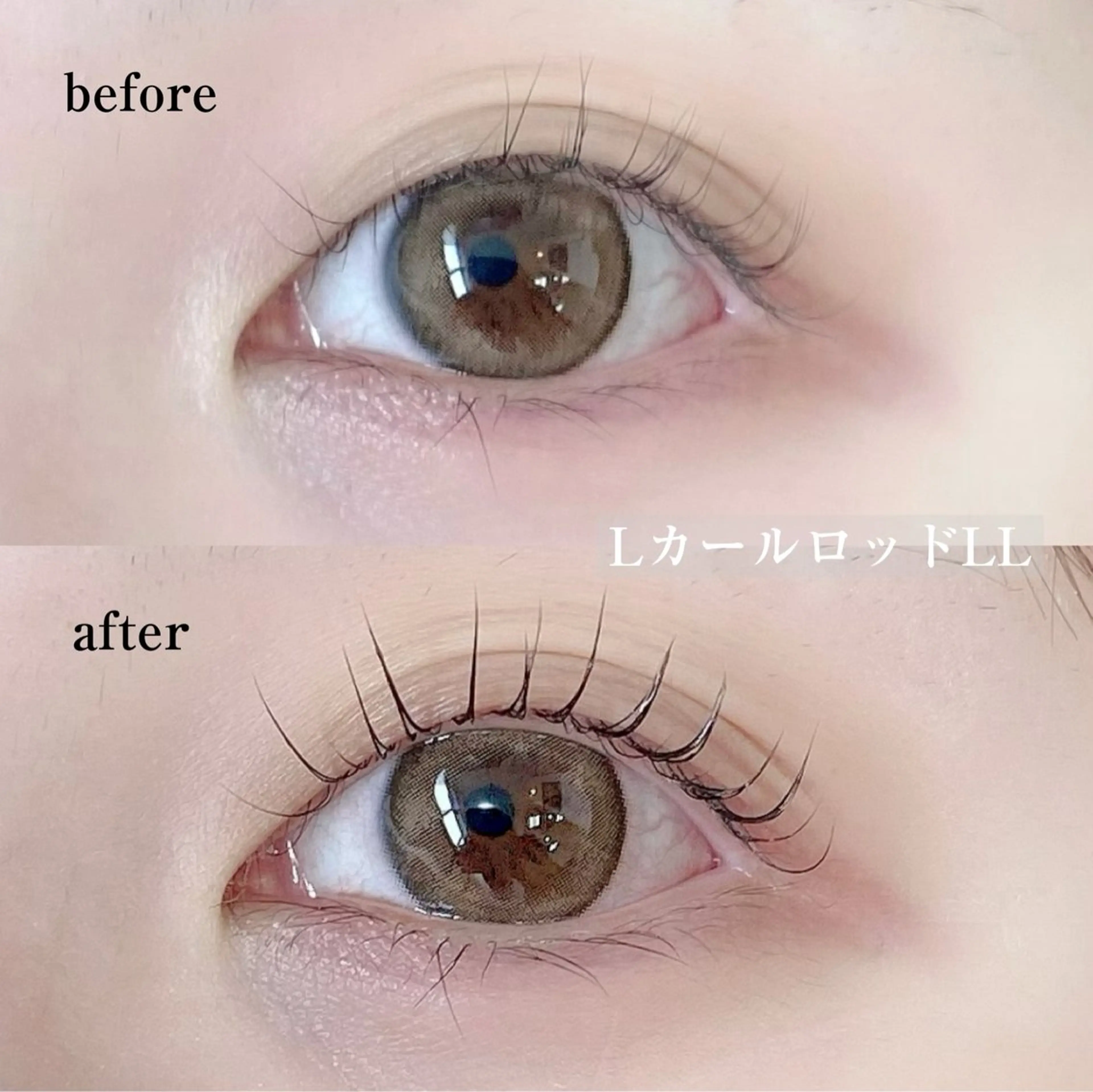 マツエク・マツパ Lカール パリジェンヌラッシュリフト 一重×まつ毛パーマ マツパ アルターエクラ 飯島のマツエク・マツパデザイン