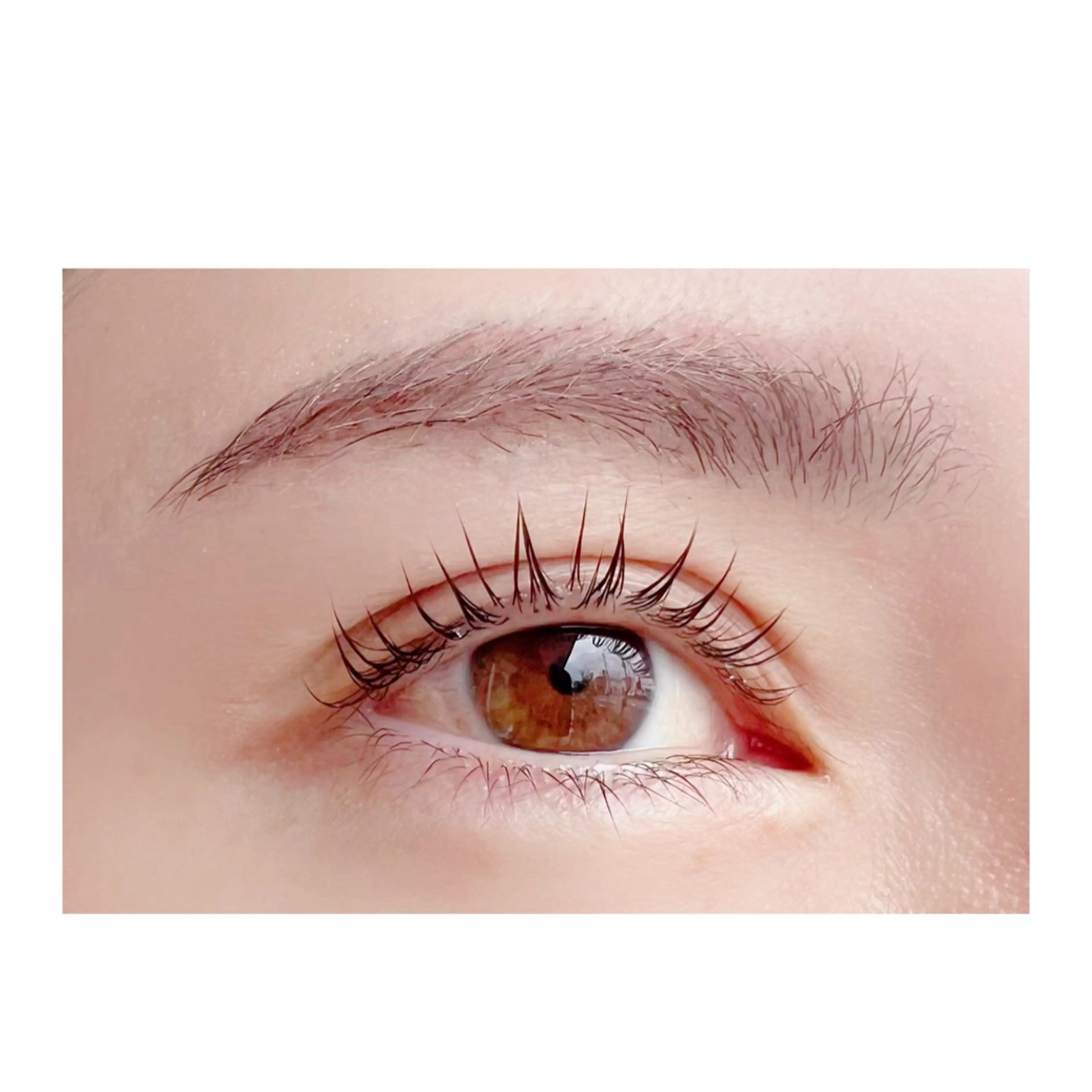 マツエク・マツパ rukuku🌼Ui まつパ/眉毛Waxのマツエク・マツパデザイン