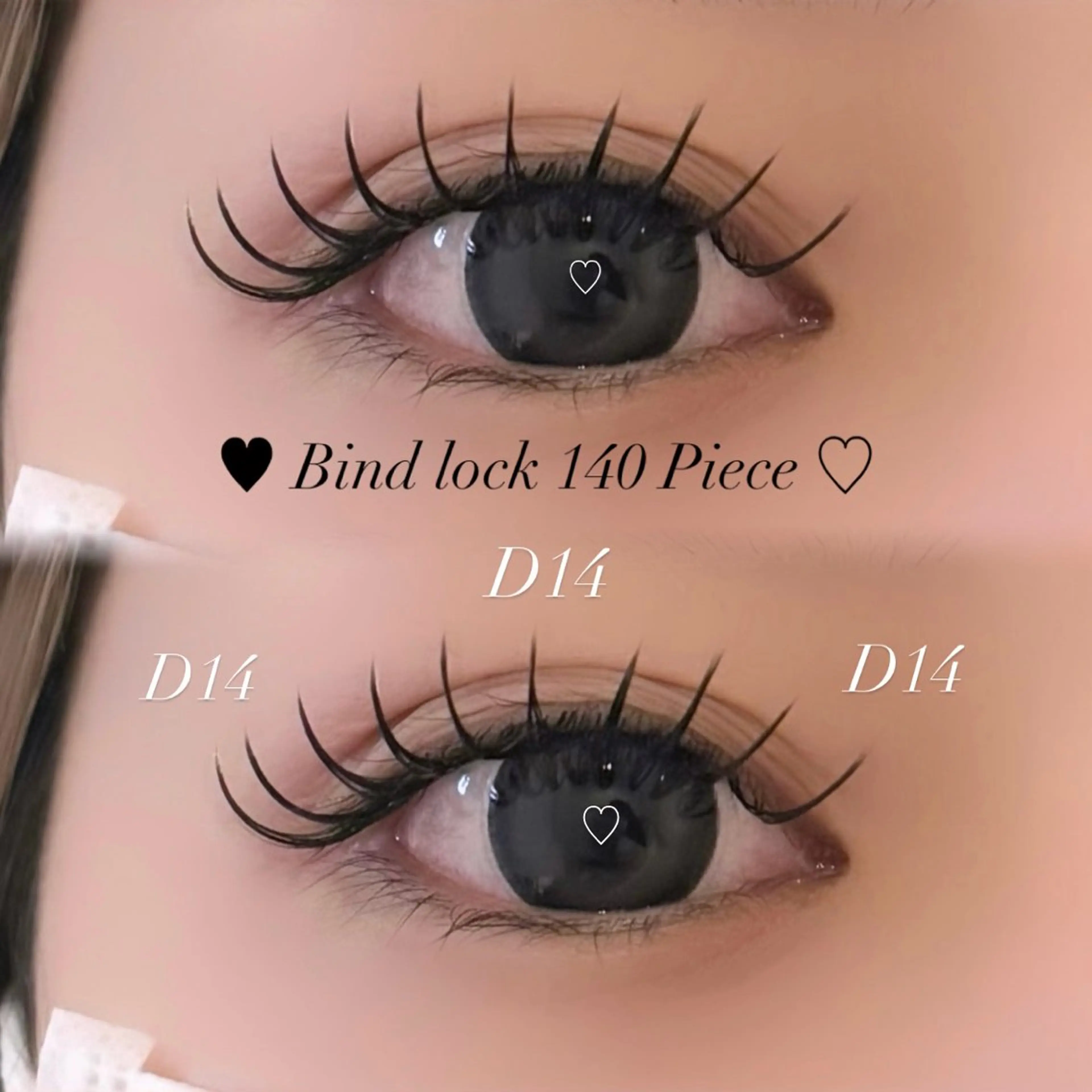 バインドロック140束の写真