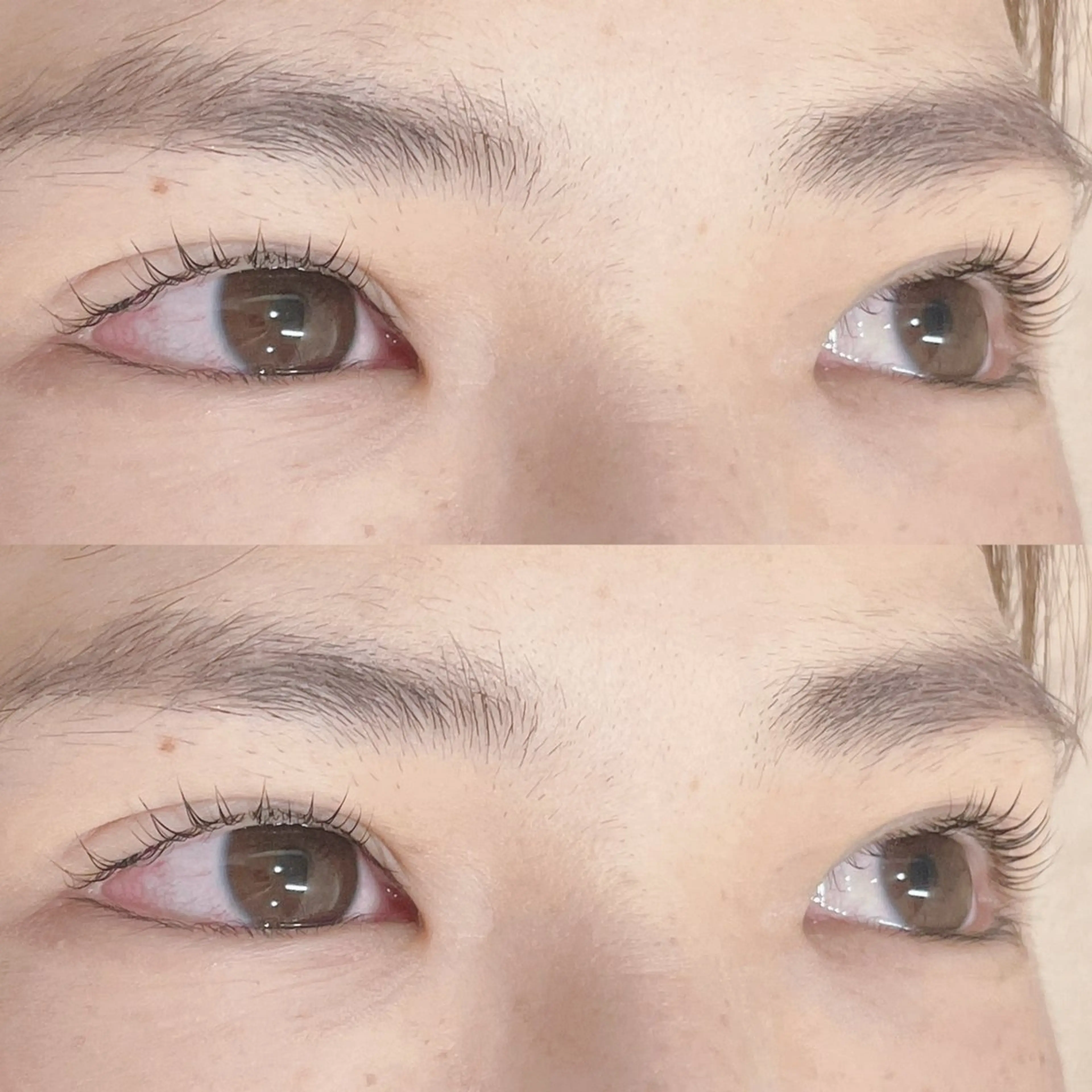 マツエク・マツパ パリジェンヌラッシュリフト MAQUIA 宮崎のマツエク・マツパデザイン