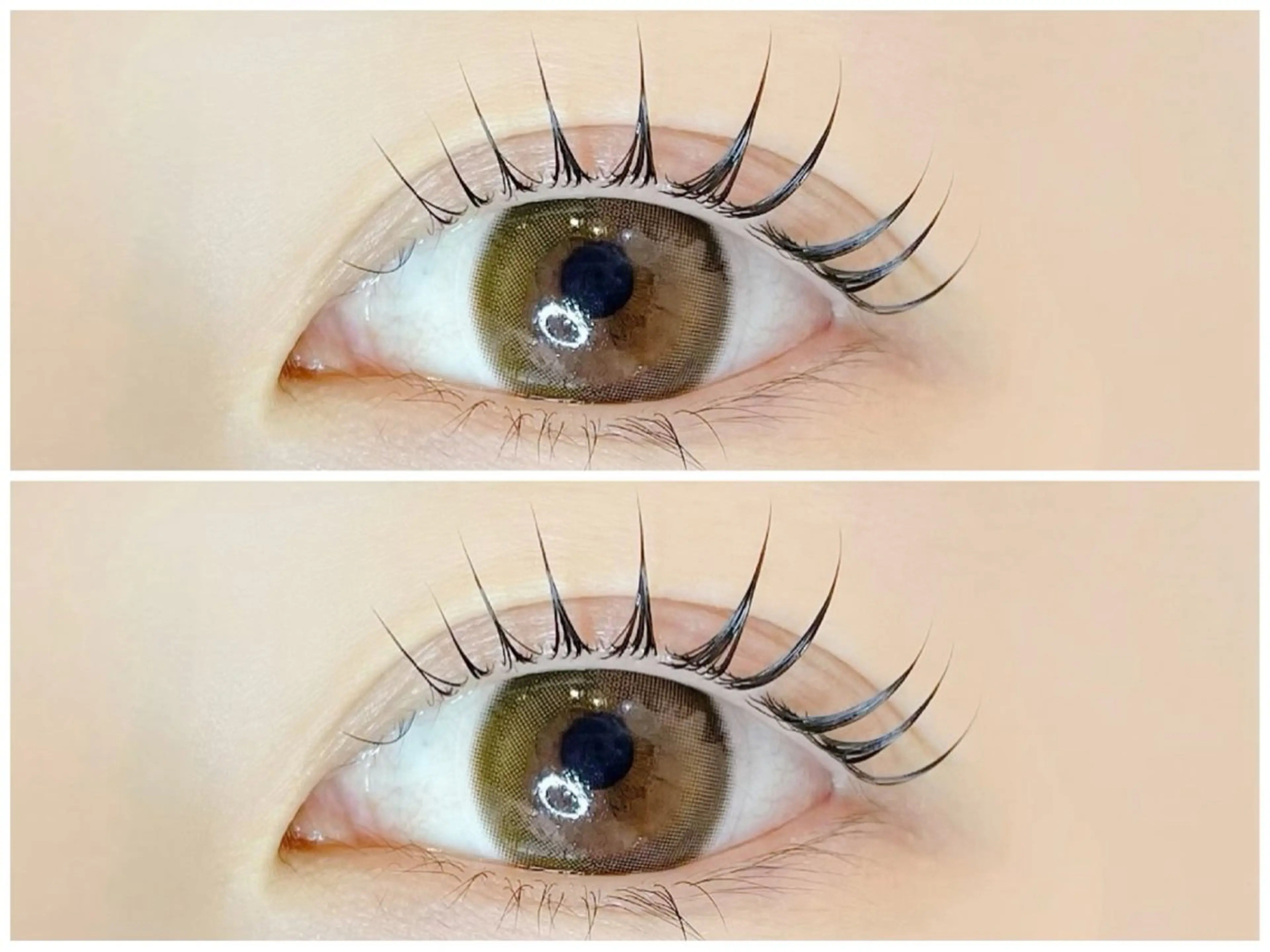 【韓国風🍓】束感まつ毛パーマ＊トリートメントコーティング付の写真