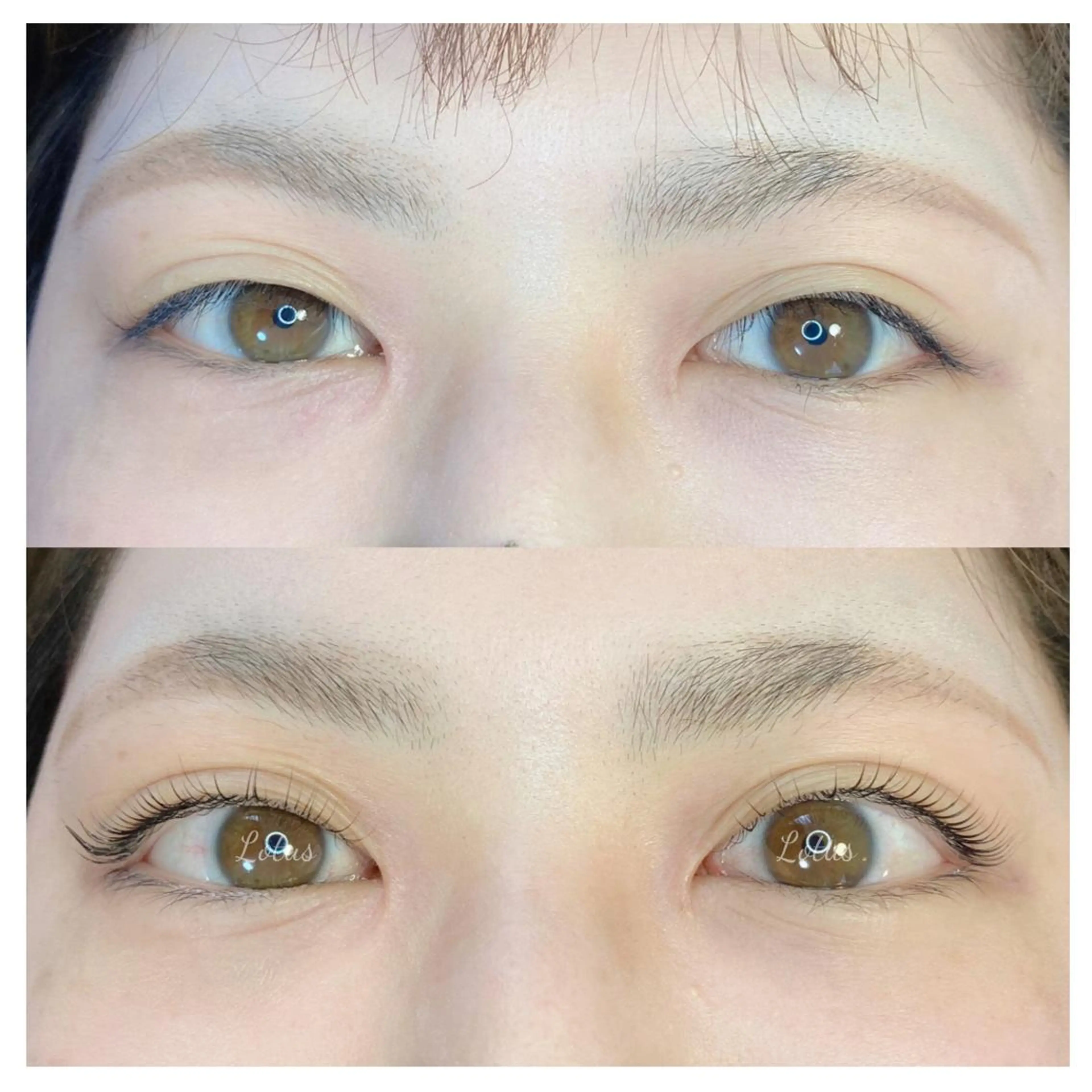 マツエク・マツパ マツパ Lotus所属・Lotus ロータスのマツエク・マツパデザイン