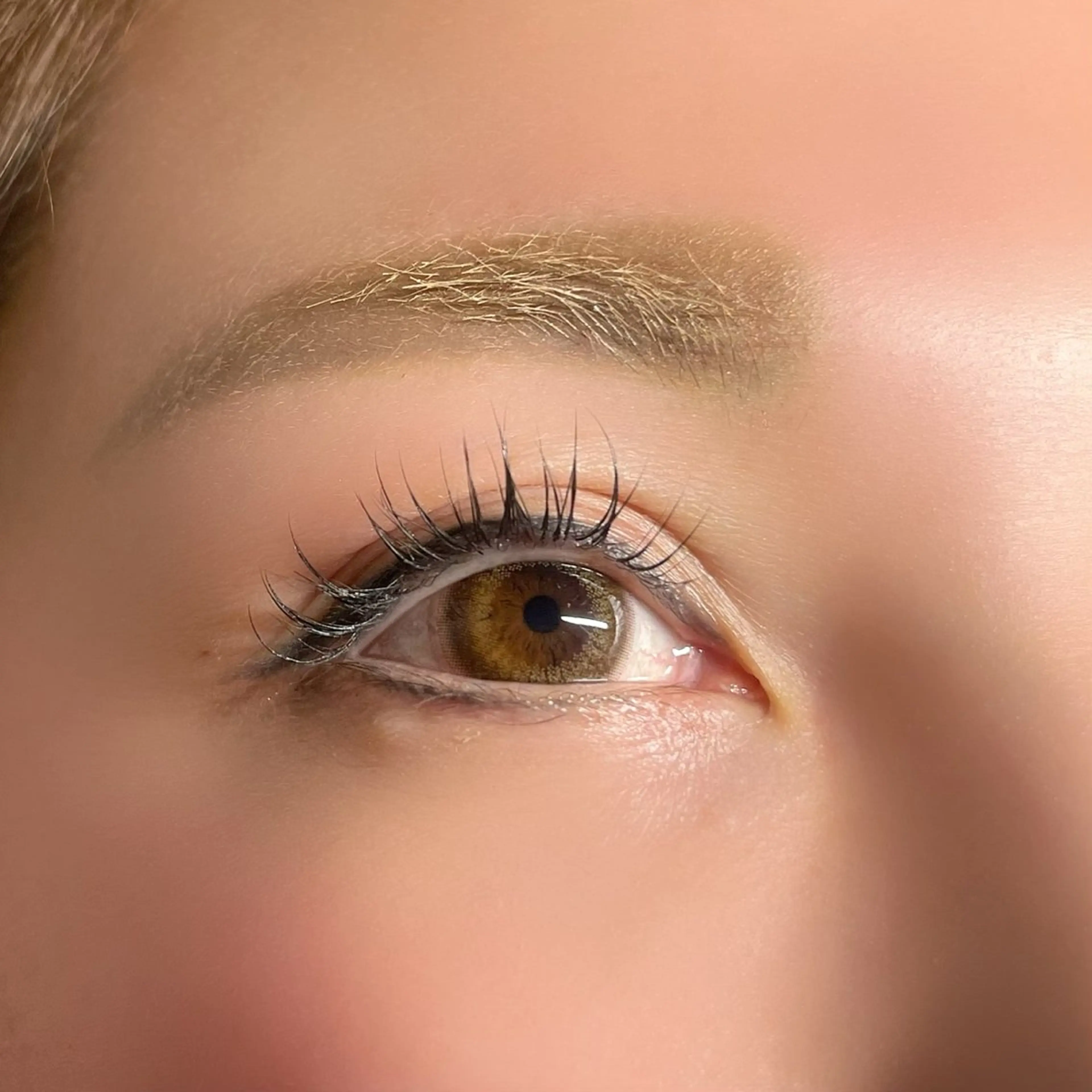 マツエク・マツパ Cカール セーブル Eternity 山中のマツエク・マツパデザイン