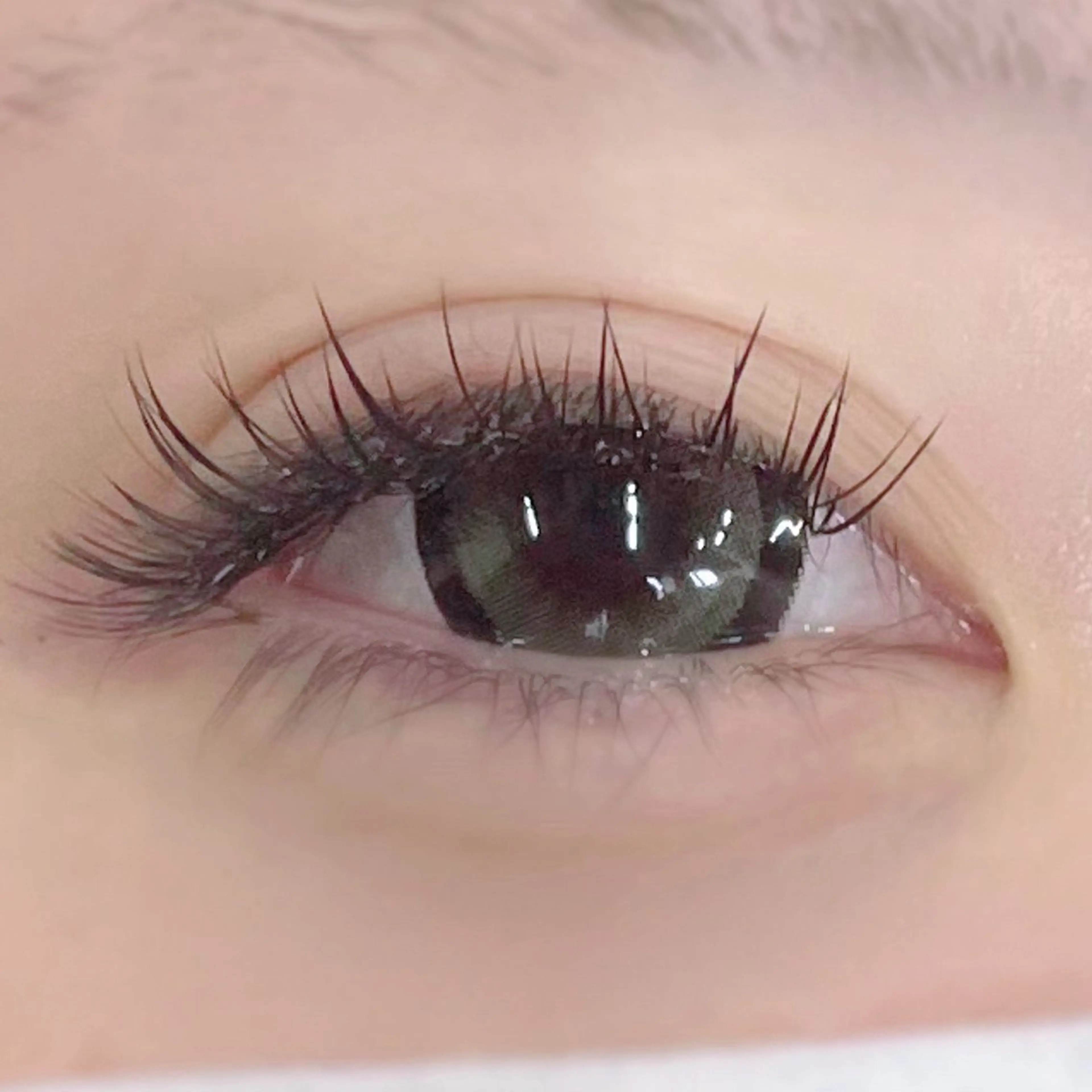 マツエク・マツパ サロンドグレース所属・お客様専用 🤍のマツエク・マツパデザイン