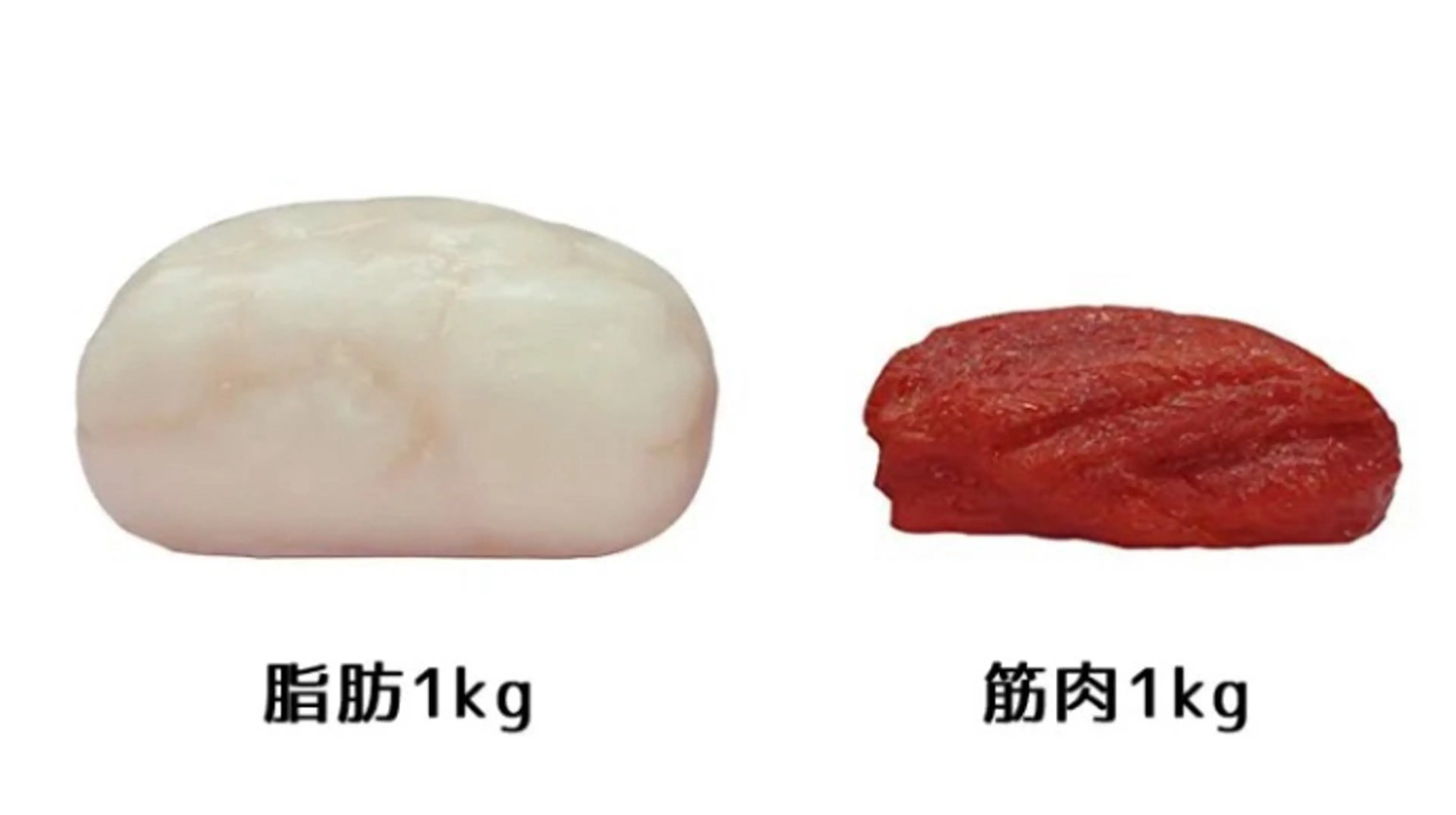 ヨサパーク  ルフ楢原店所属・水素×よもぎ蒸し YOSAPARKルフのエステ・リラクイメージ