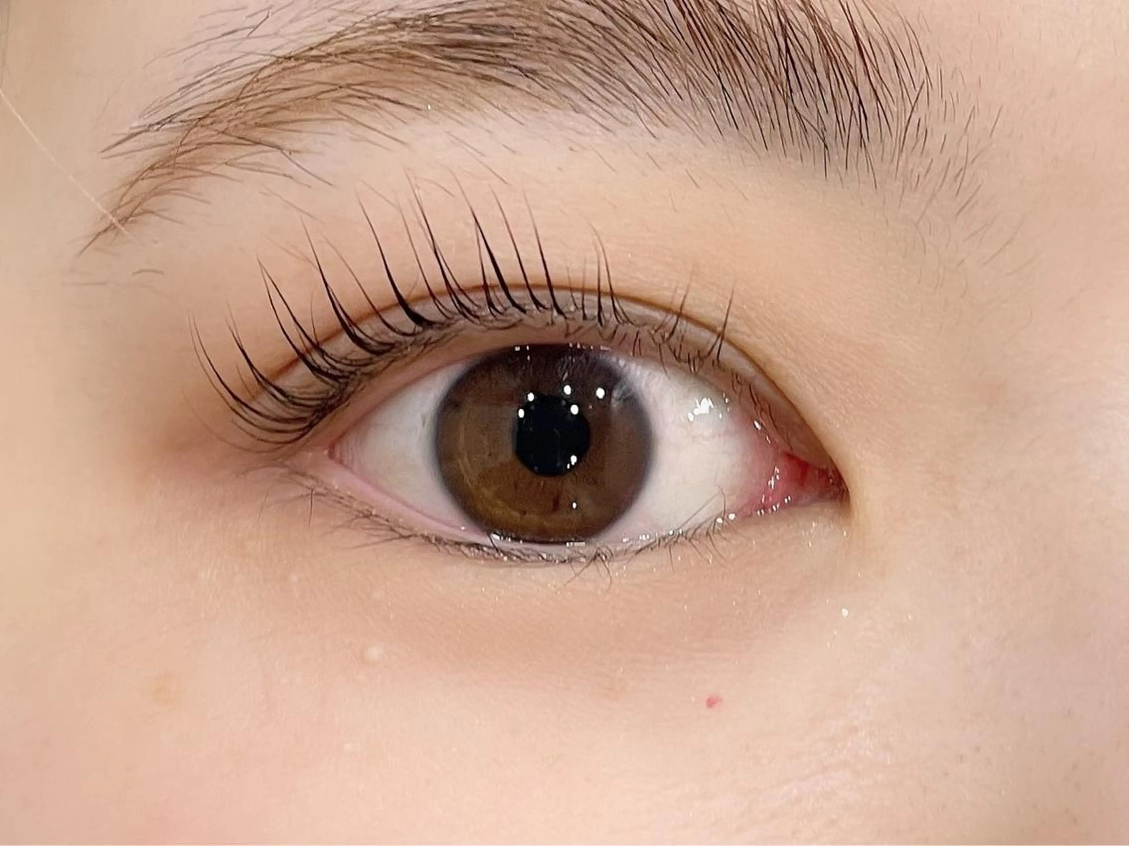 🌟minimo限定🌟ご新規様限定🌟パリジェンヌラッシュリフト🍒次世代まつ毛パーマ🍒の写真