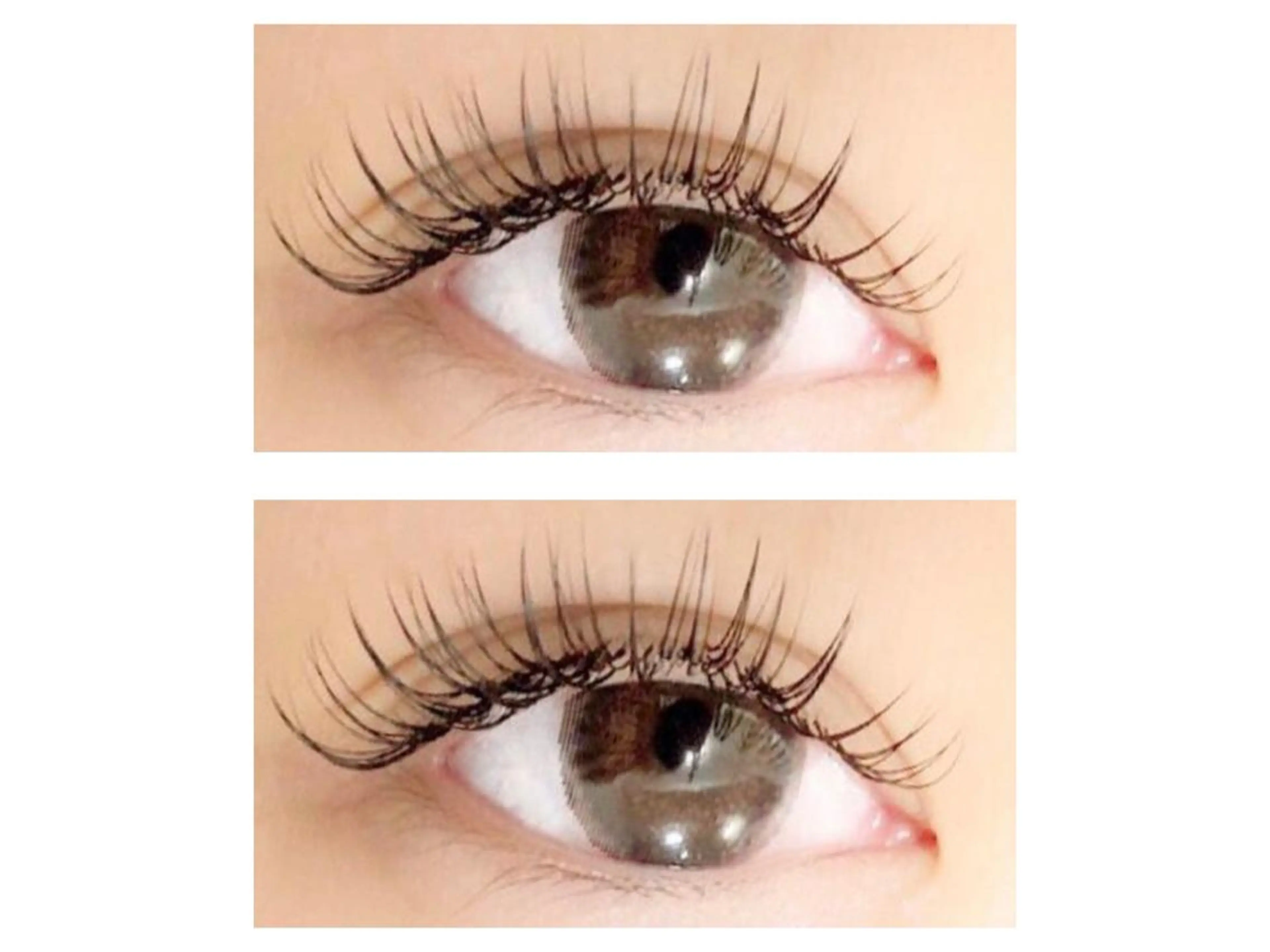 ミンクエクステ  120本　5500円の写真