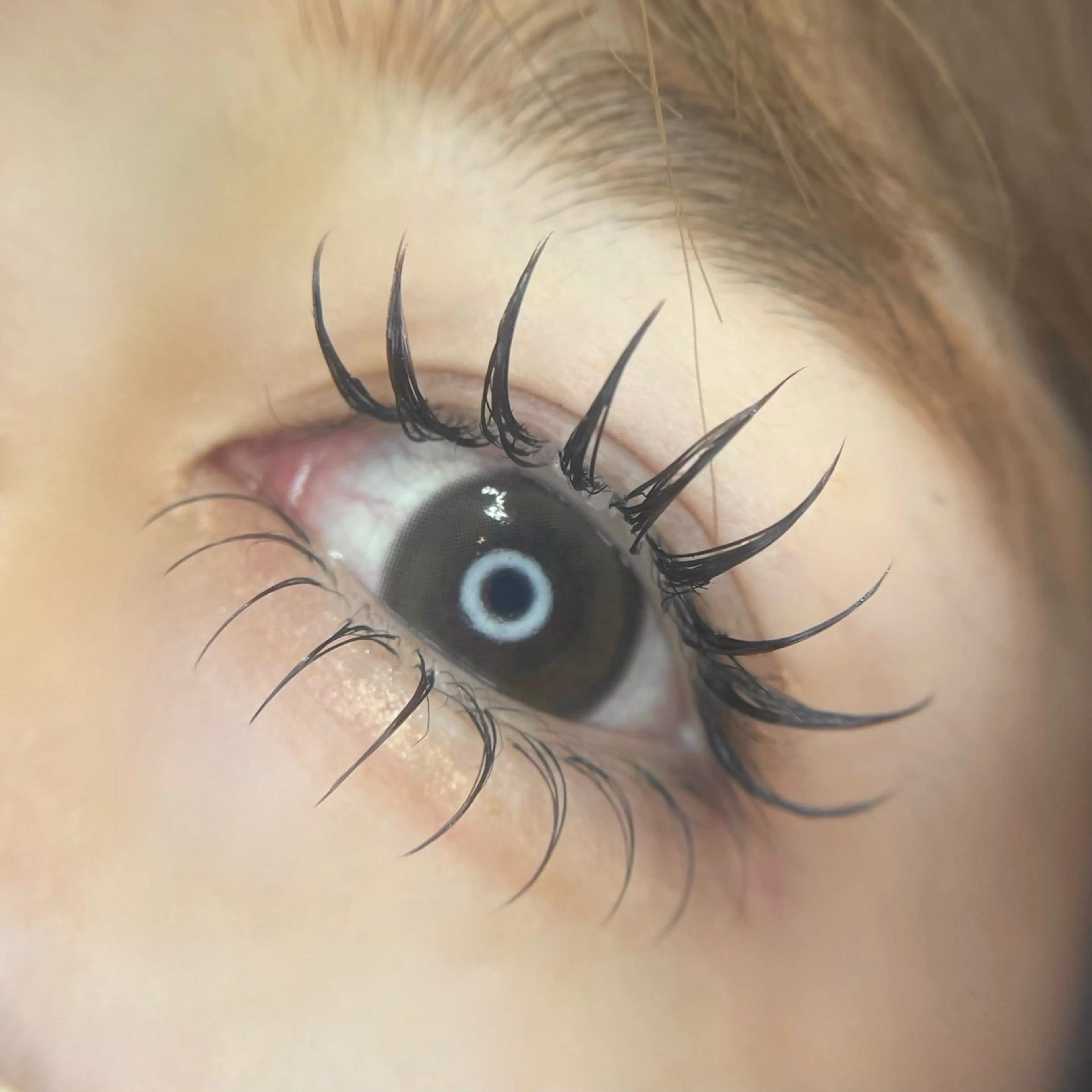 マツエク・マツパ 束感まつ毛 カラーマツエク フラットラッシュ カノウ アオイ🐰の眉毛・アイブロウイメージ