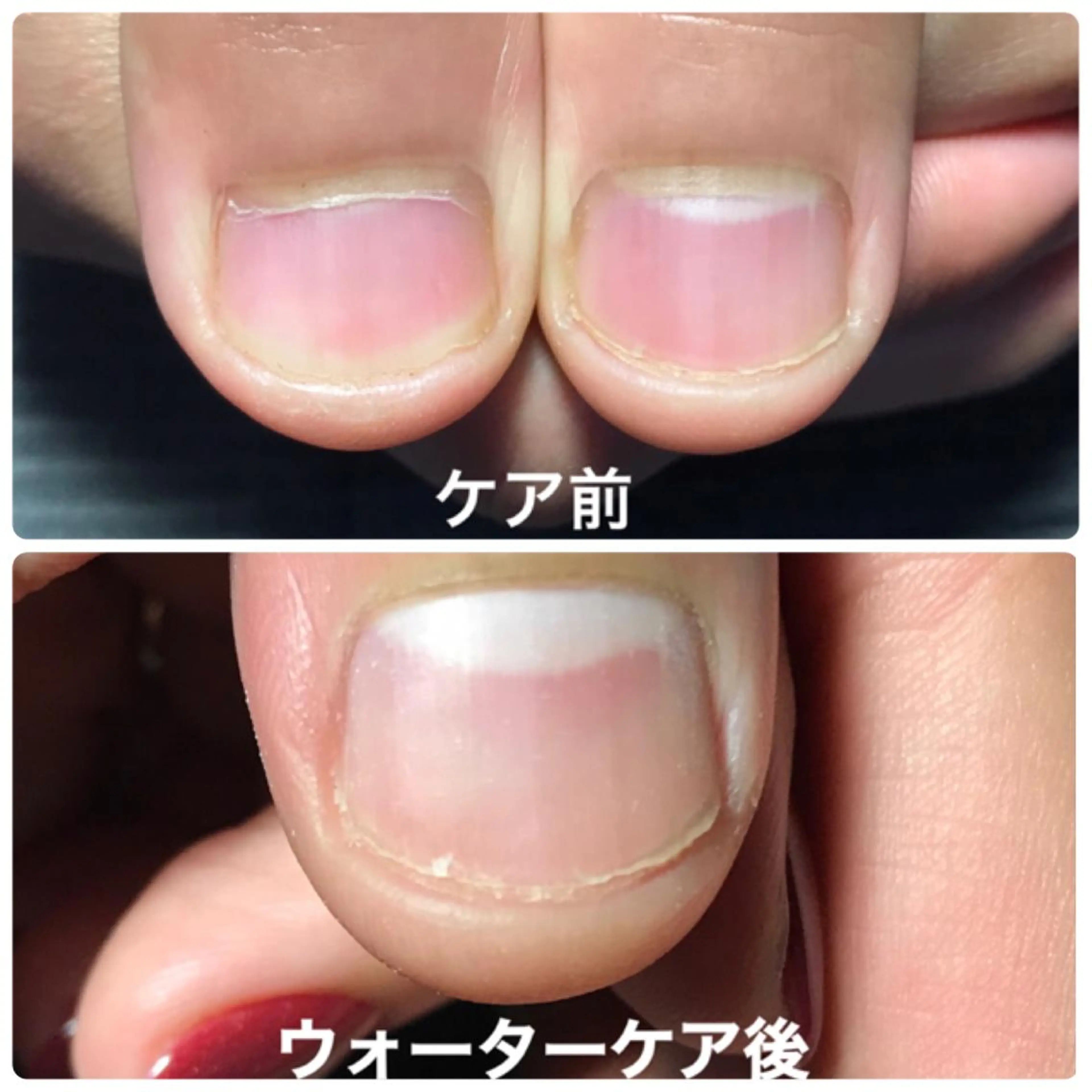 ネイル Lotus Nailのネイルデザイン