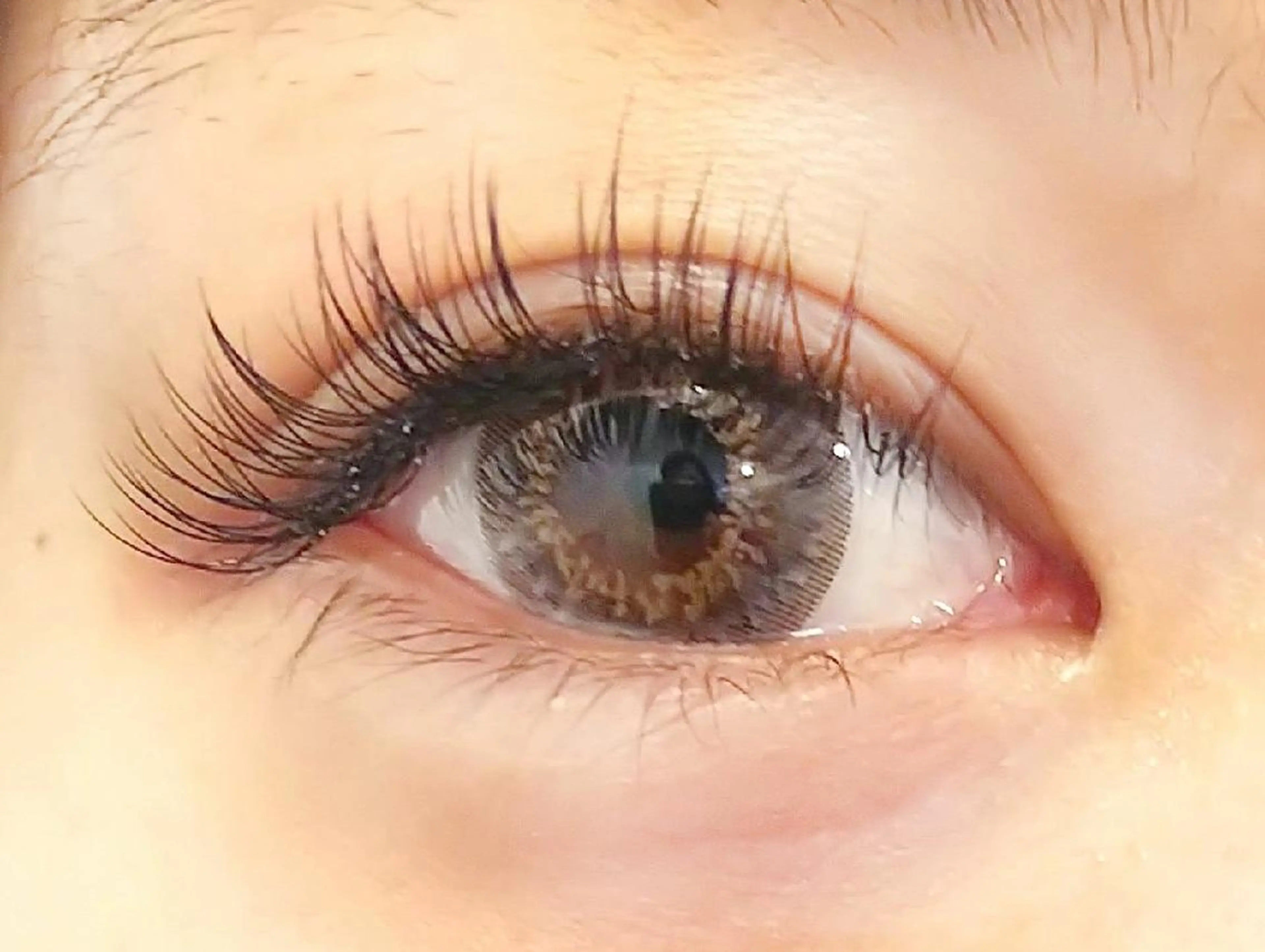 マツエク・マツパ ナチュラル 🌟sylph  MIKI🌟のマツエク・マツパデザイン