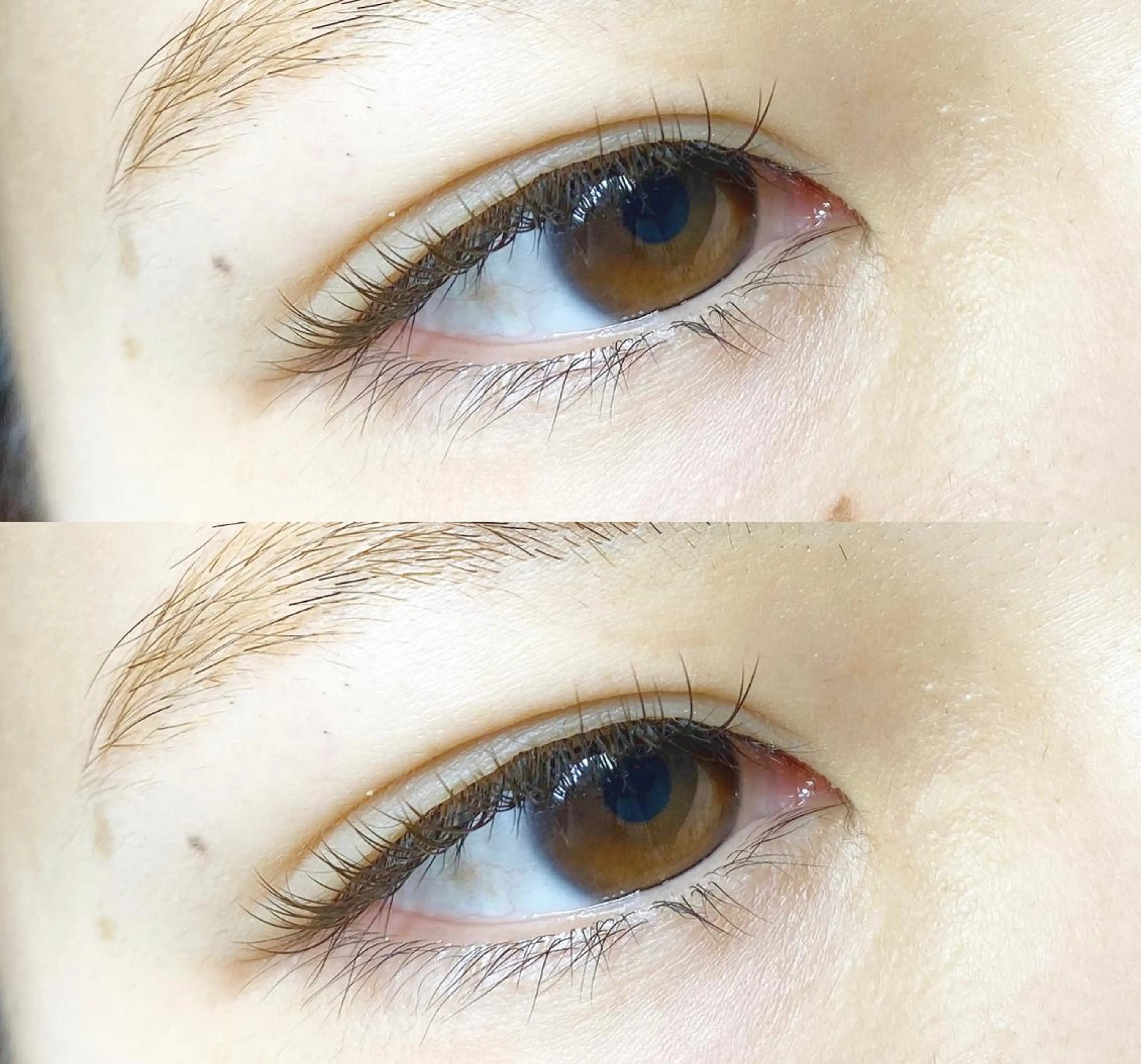 マツエク・マツパ カラーマツエク マツエク 佐々木 美菜のマツエク・マツパデザイン