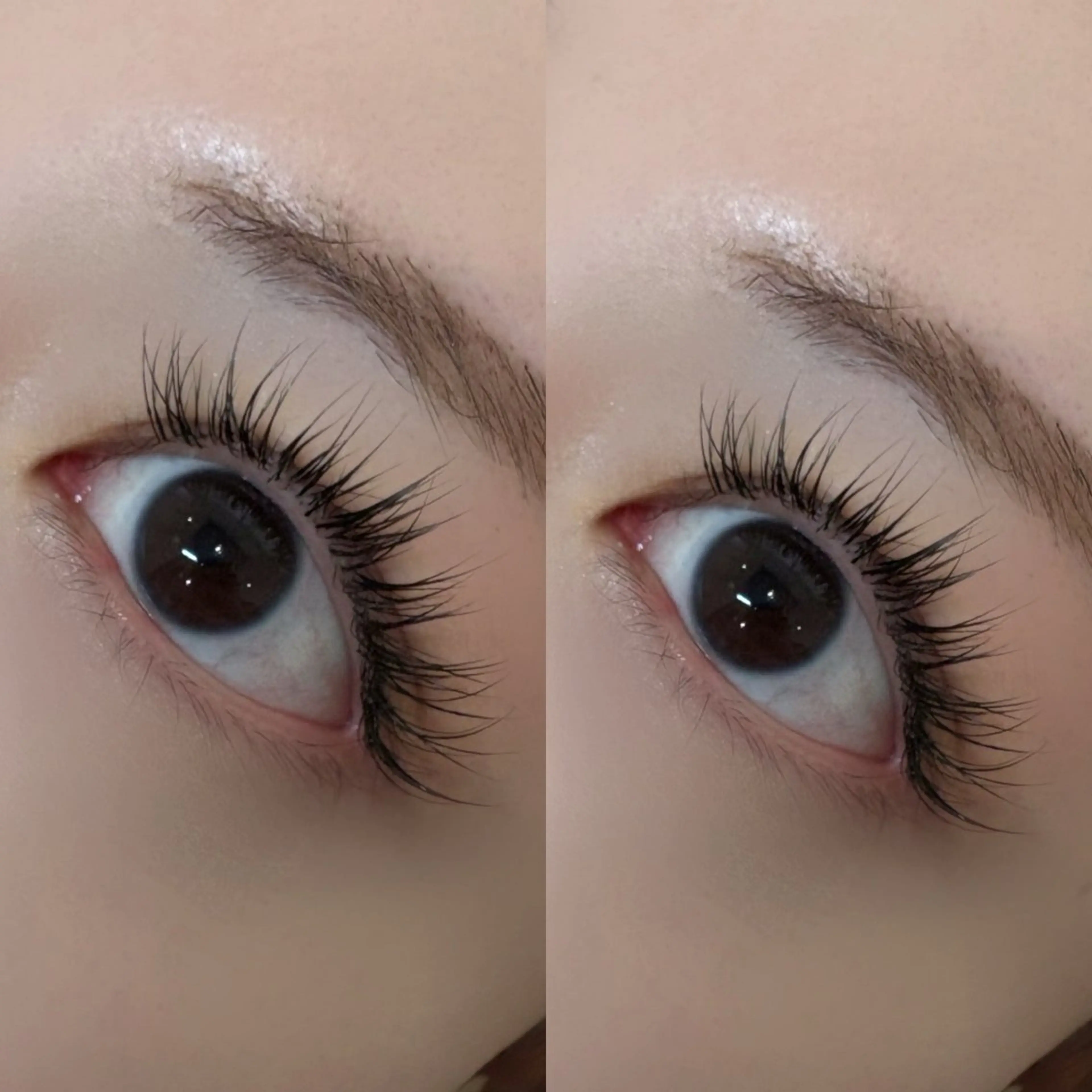 パリエク(フラット80本)の写真