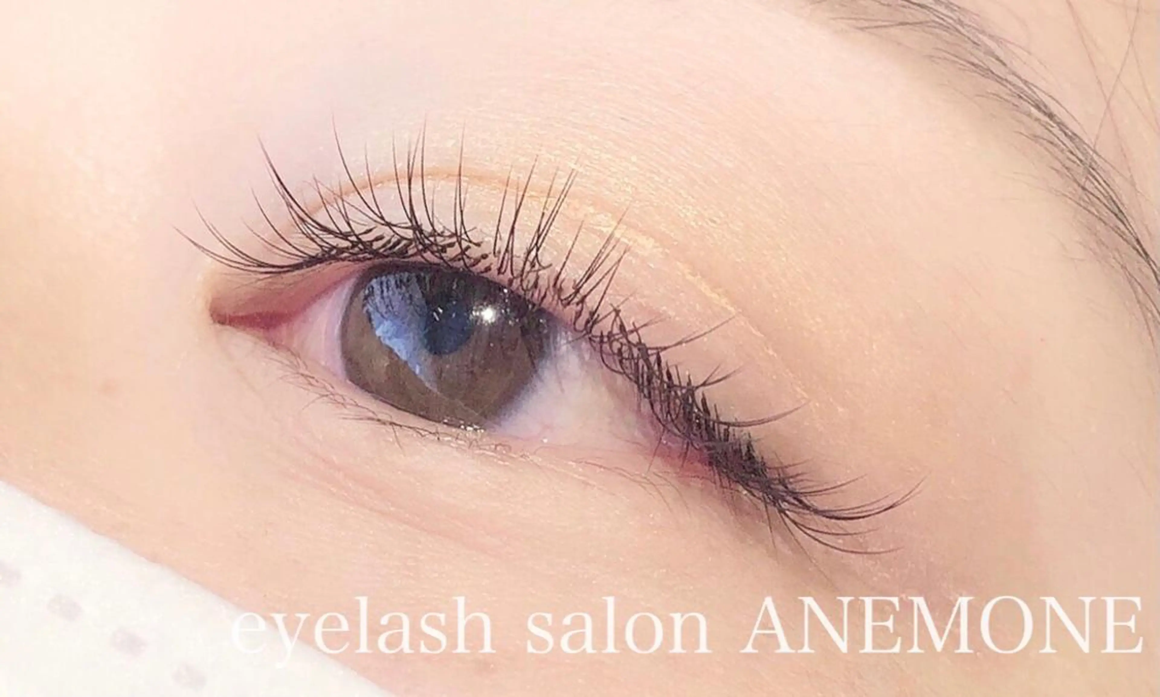 マツエク・マツパ ナチュラル セーブル eyelash salon  ANEMONE所属・アイラッシュサロン ANE・MONEのマツエク・マツパデザイン