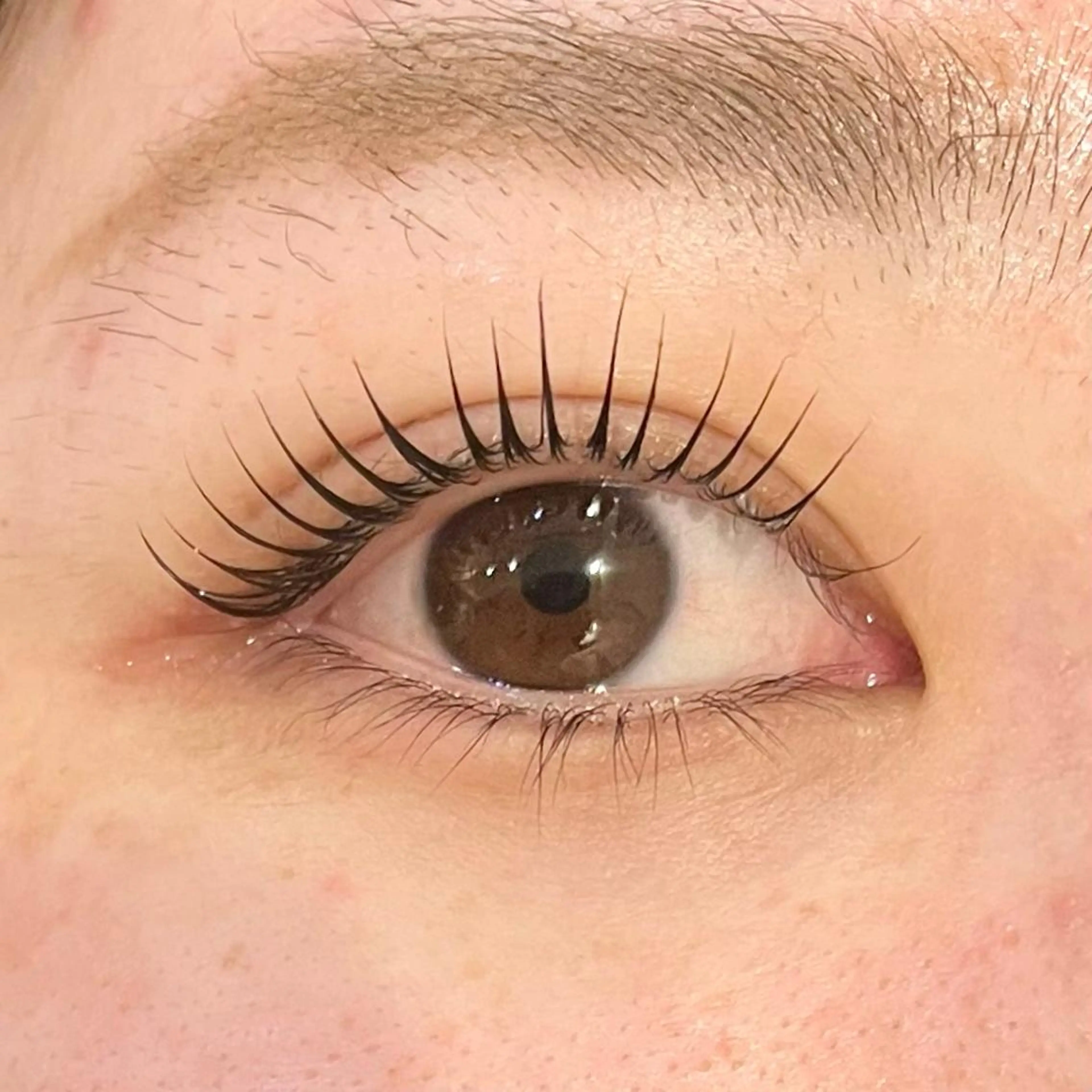 💙当日限定🔆リピーター続出🔆【パリジェンヌor次世代パーマ】コーティング込みの写真