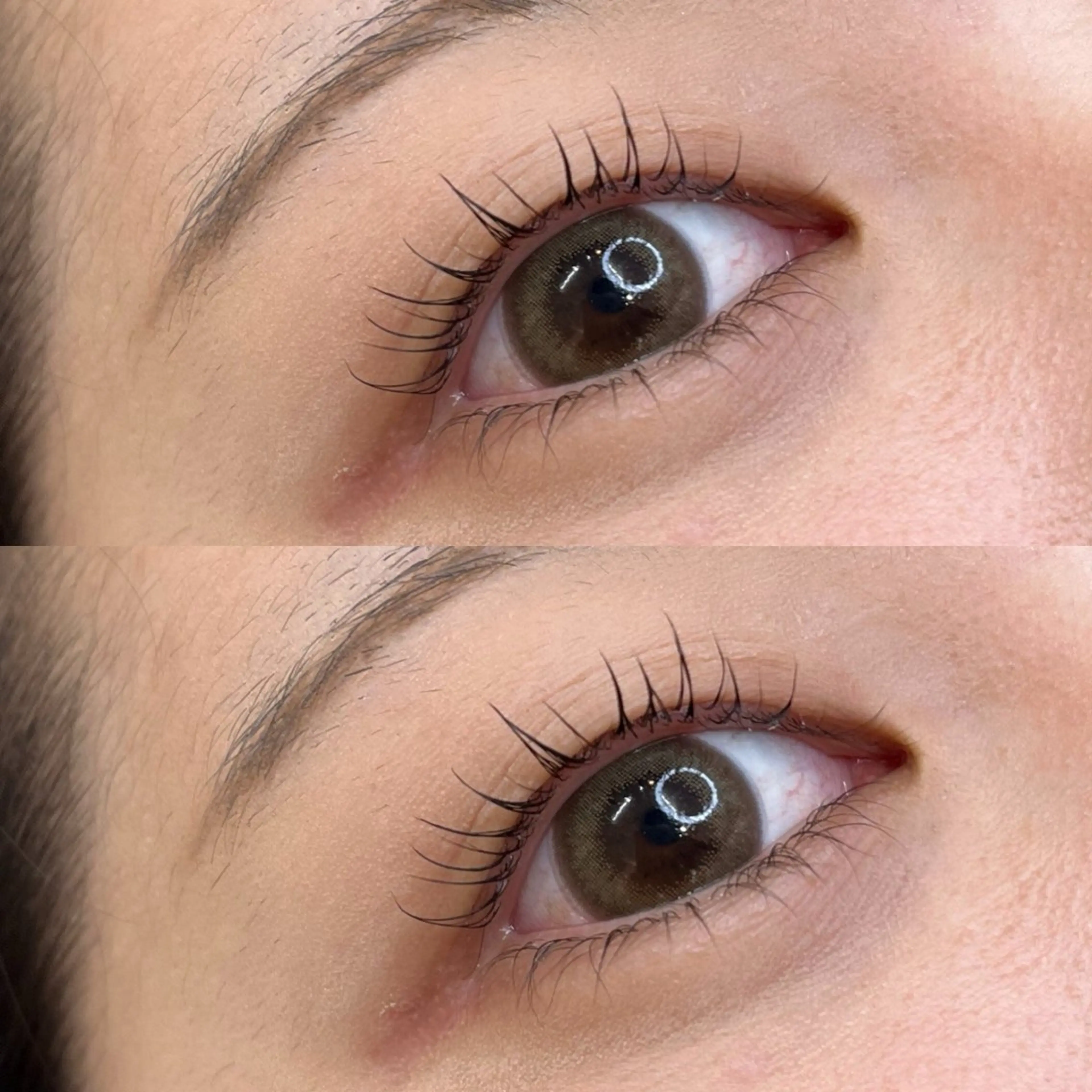 【💖平日限定💖】ご新規様✩⡱眉毛WAX+まつ毛パーマ(上まつ毛)✩⡱お得な𝑺𝒆𝒕 𝒎𝒆𝒏𝒖 ✩⡱の写真