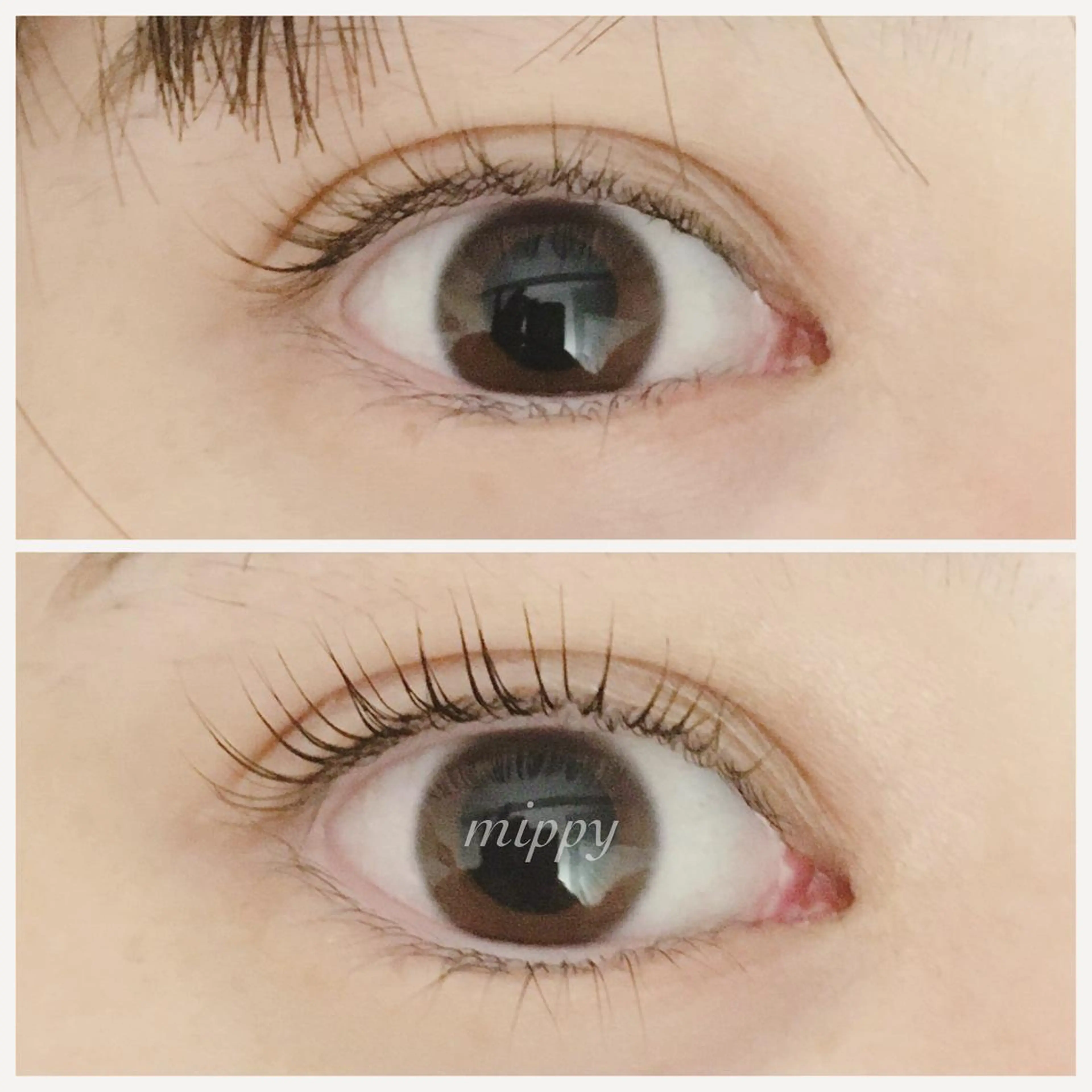 マツエク・マツパ パリジェンヌラッシュリフト ｍｉｐｐｙ 🪽のマツエク・マツパデザイン