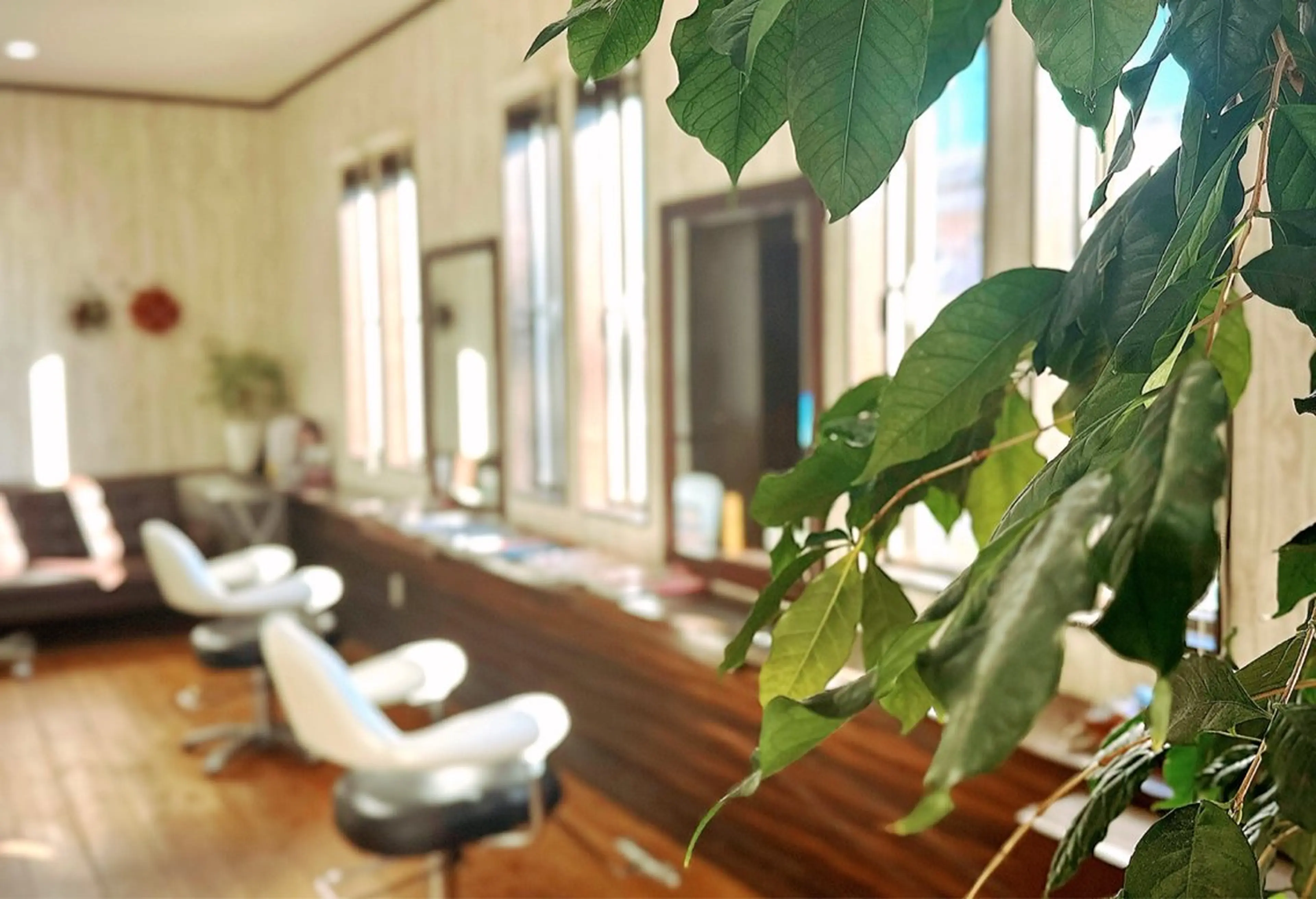 【felice】 Takahashiのマツエク・マツパデザイン