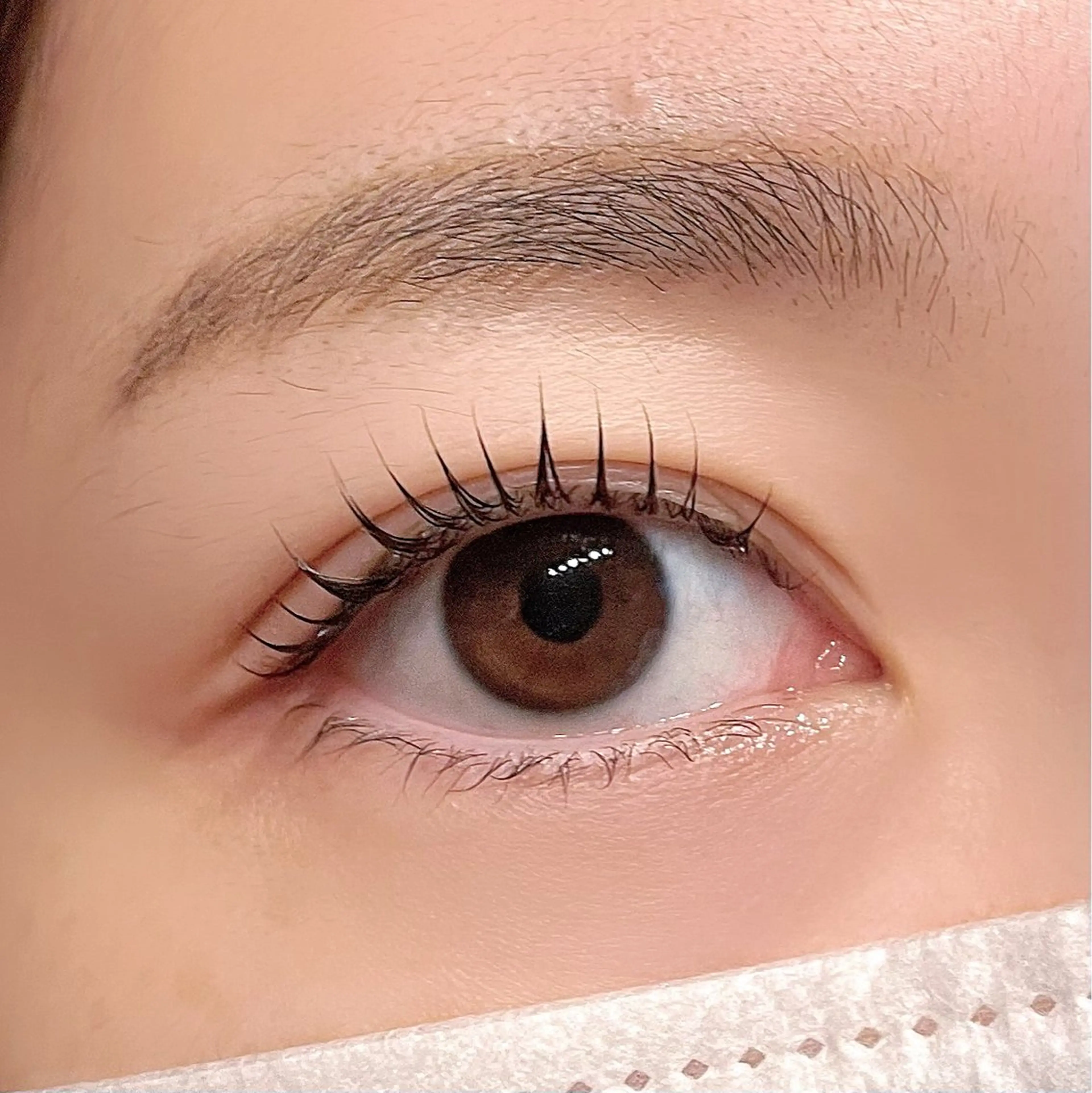 ใใใจใฏใปใใใ ใใใ ๐๐๐๐๐ ๐ฆ๐ใฎใใใจใฏใปใใใใใถใคใณ