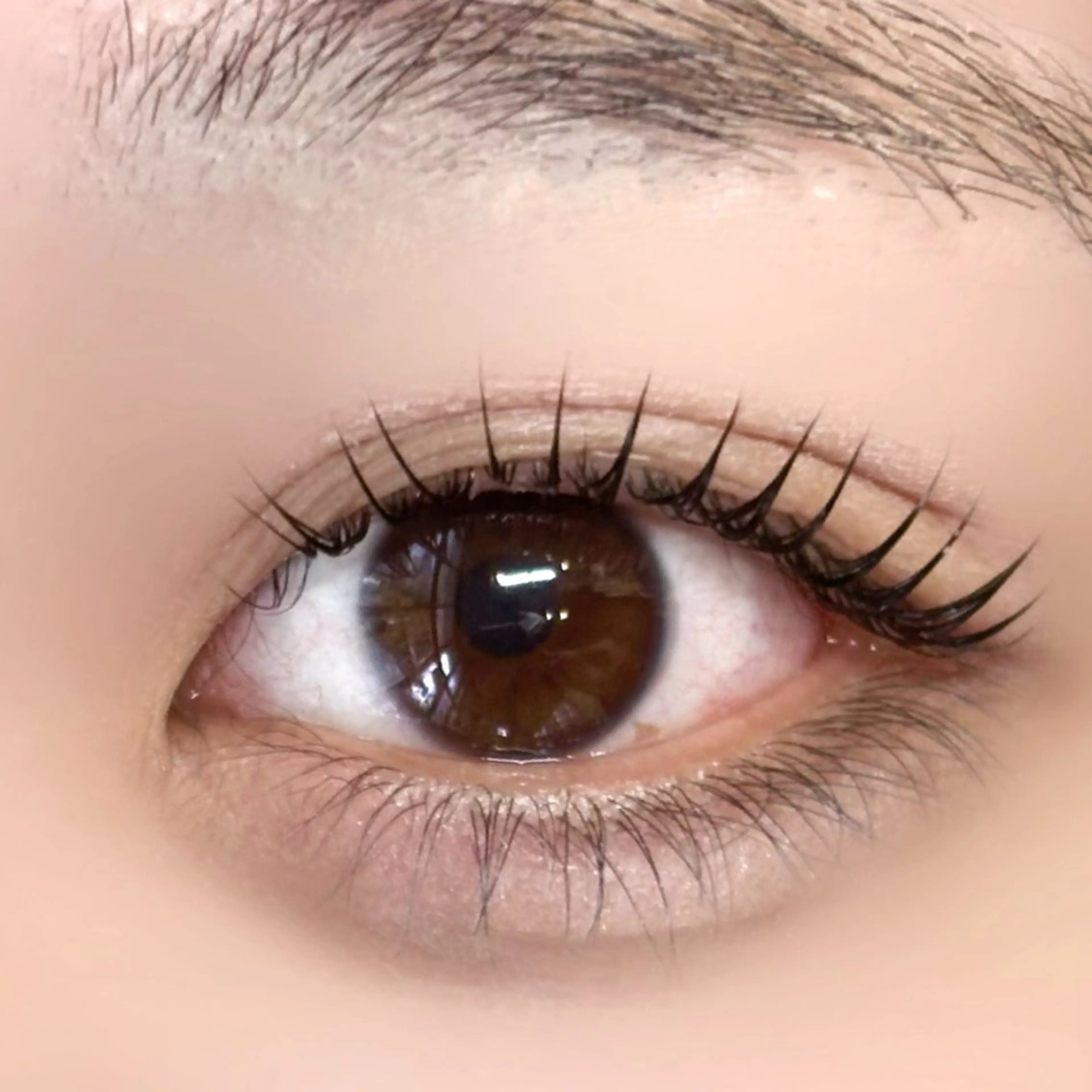 マツエク・マツパ 一重×まつ毛パーマ マツパ lino eyelash&eyebrow淡路店所属・【lino】 Reina🎀のマツエク・マツパデザイン