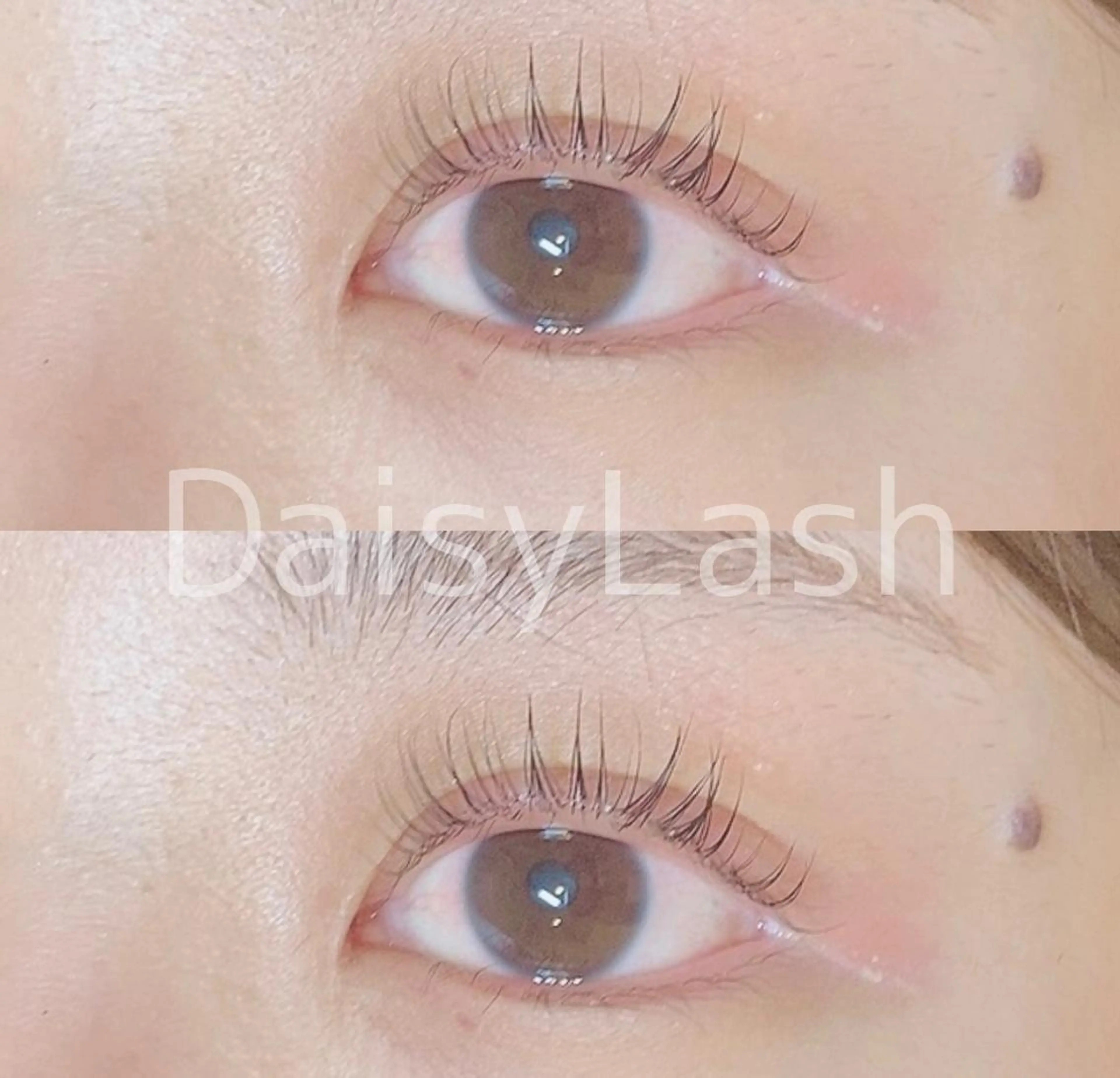 マツエク・マツパ DaisyLash 京橋店のマツエク・マツパデザイン