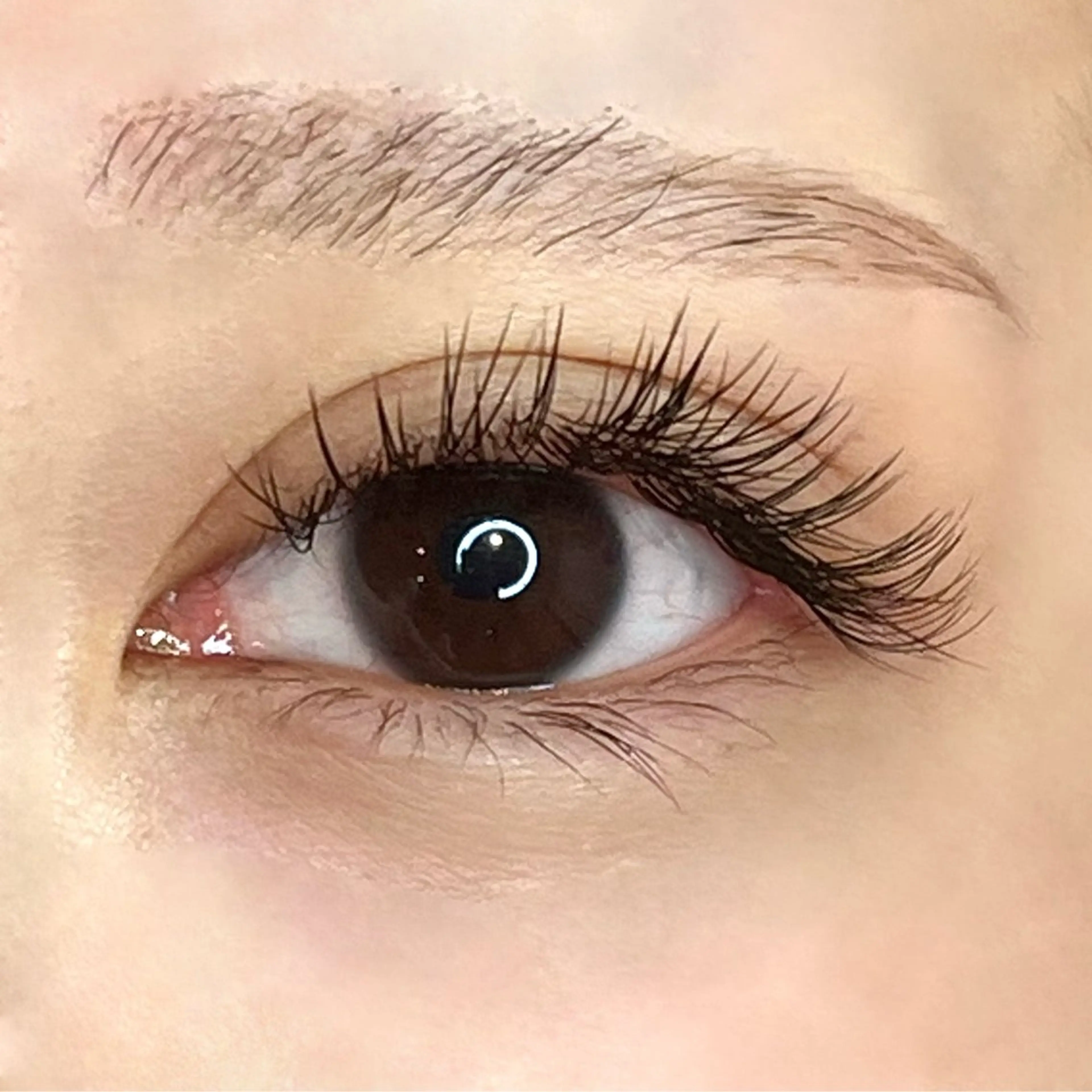 オフ無料🌟ﾌﾗｯﾄﾏｯﾄﾗｯｼｭ 160本 ❕❕¥12,790→6,400の写真