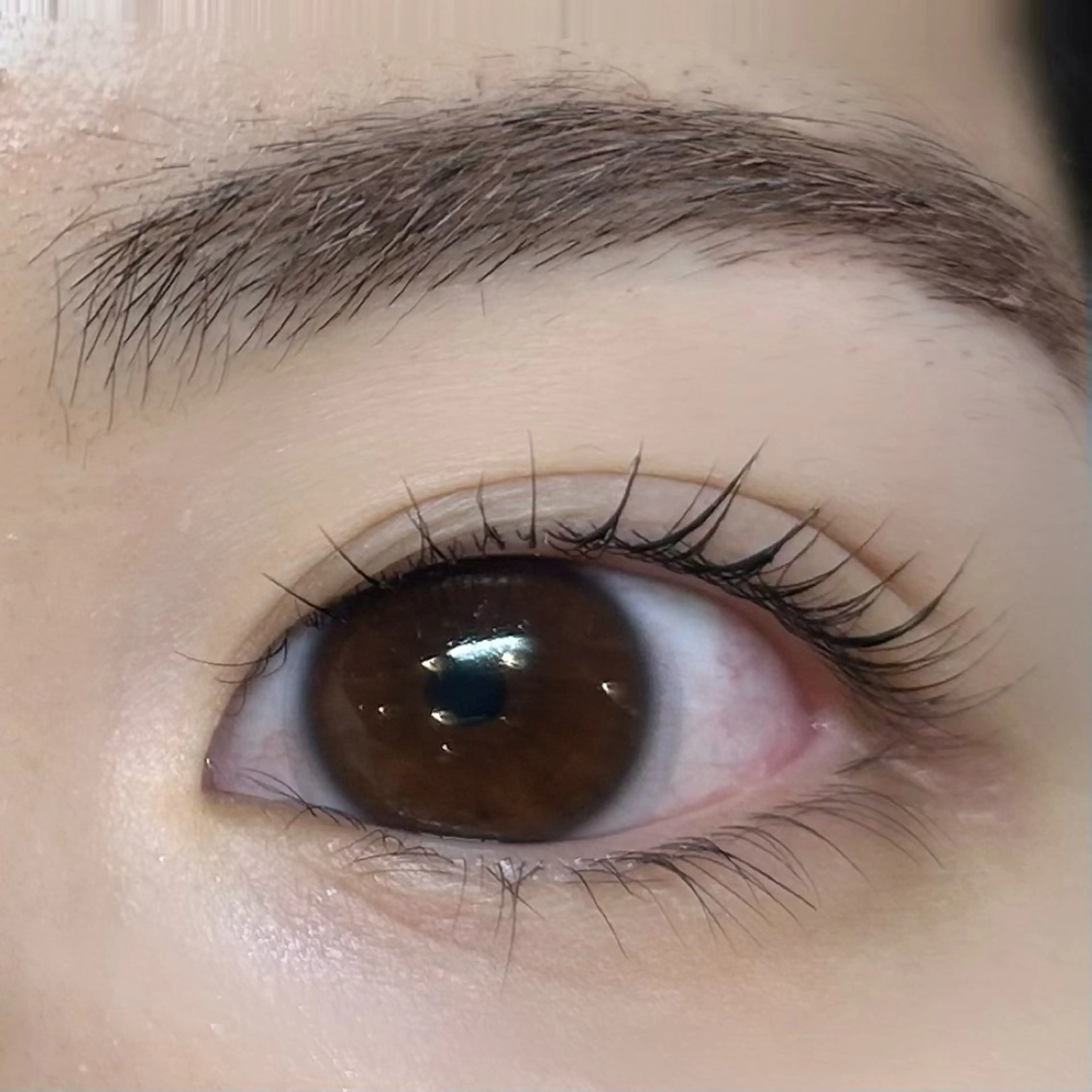 マツエク・マツパ PLUME momokaのマツエク・マツパデザイン