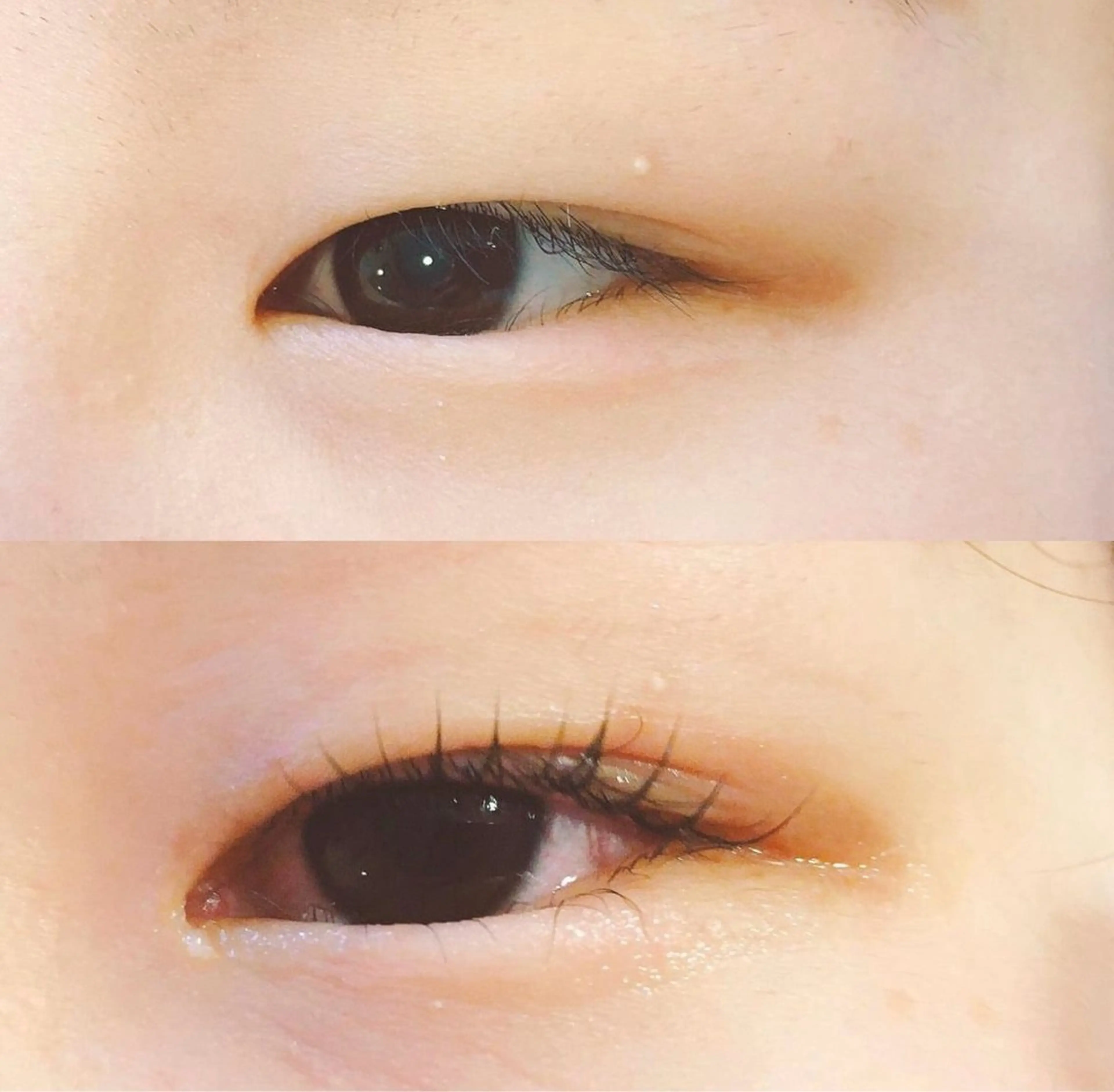 マツエク・マツパ 自まつ毛を大切にする まつ毛Ｐのマツエク・マツパデザイン