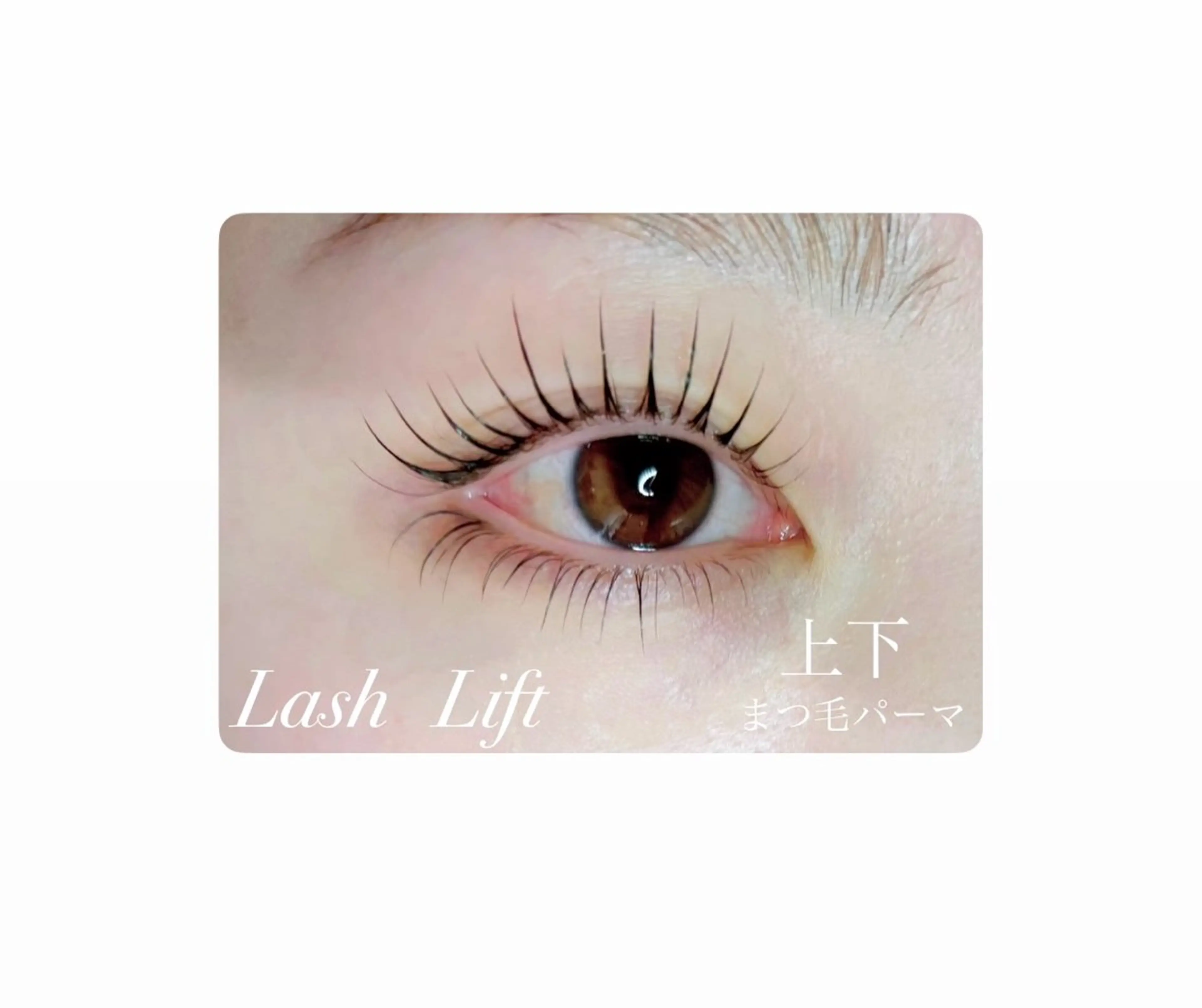 新規【Lash Lift】上下まつ毛パーマの写真