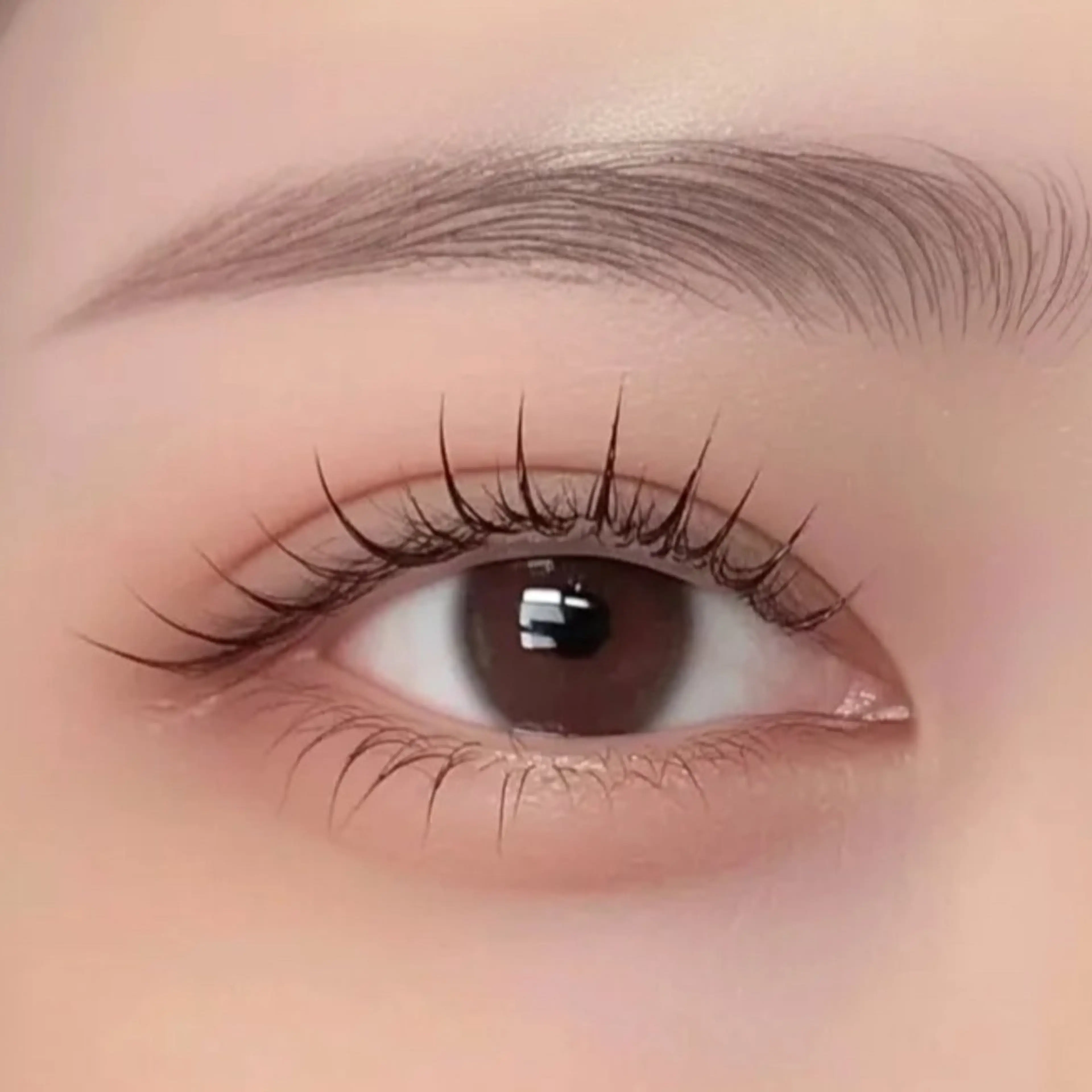 【 黄金比眉毛🎀✨】美眉アイブロウWAXスタイリング🪄の写真