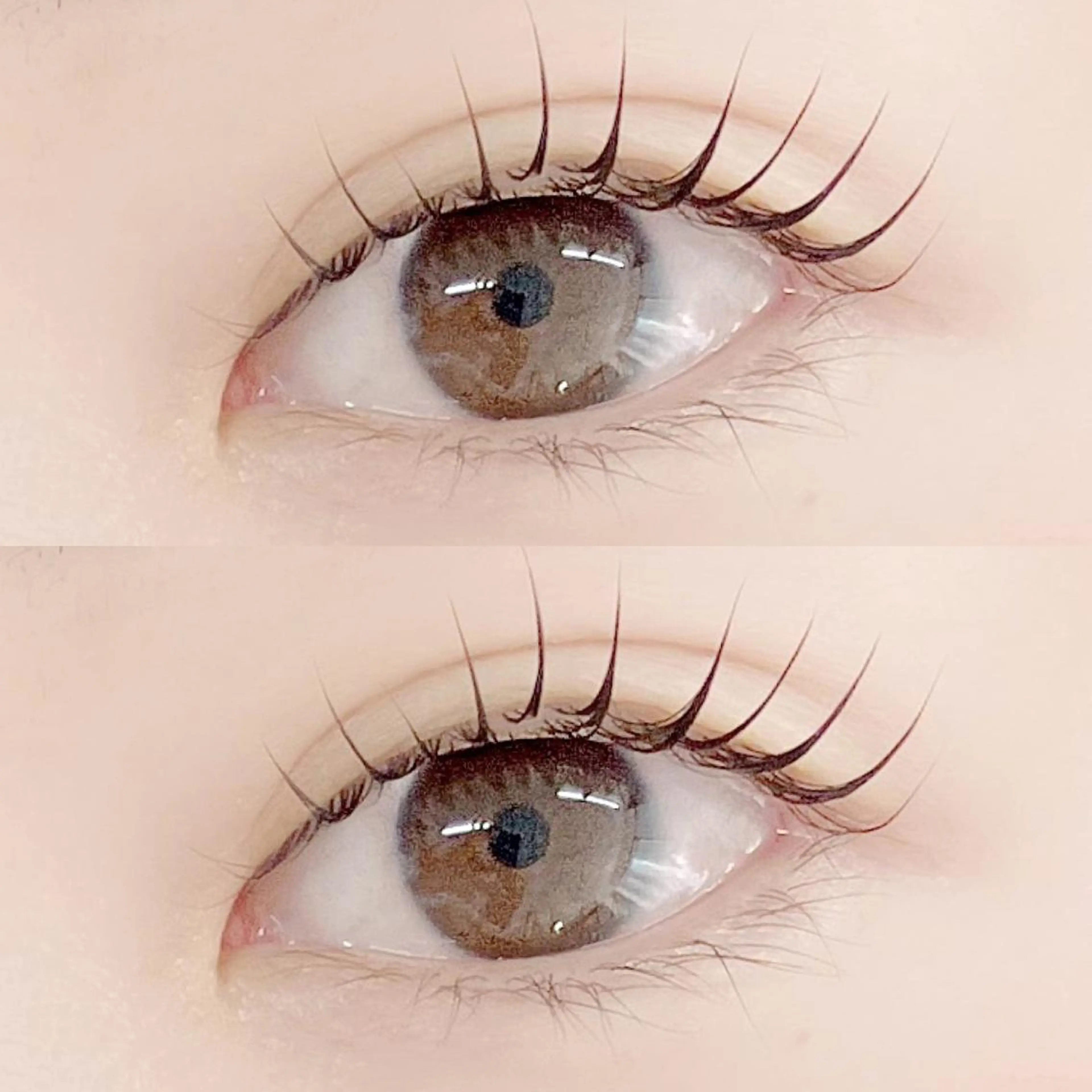 マツエク・マツパ フジ ワラのマツエク・マツパデザイン