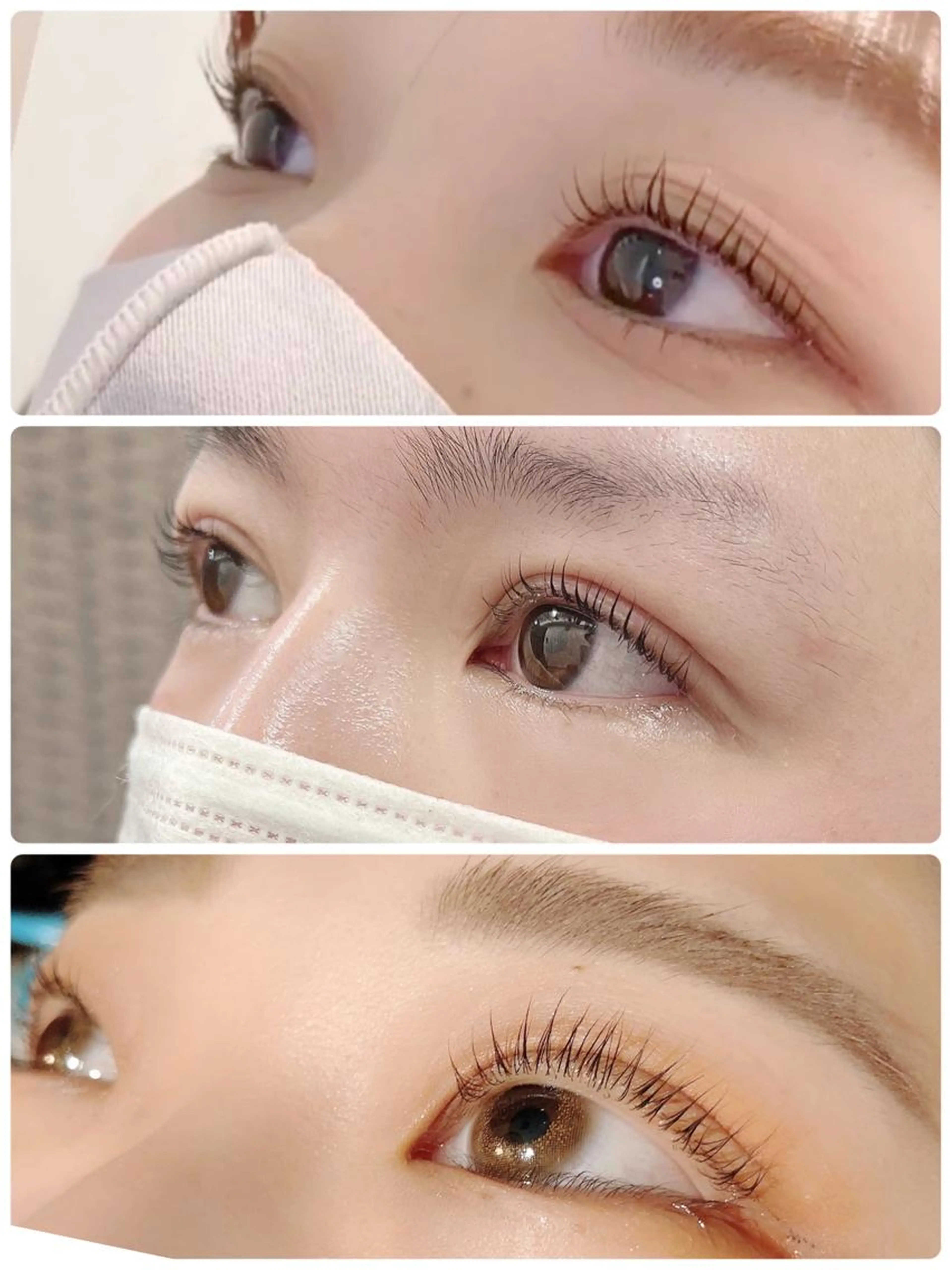 🌼次世代ラッシュリフト🌼の写真