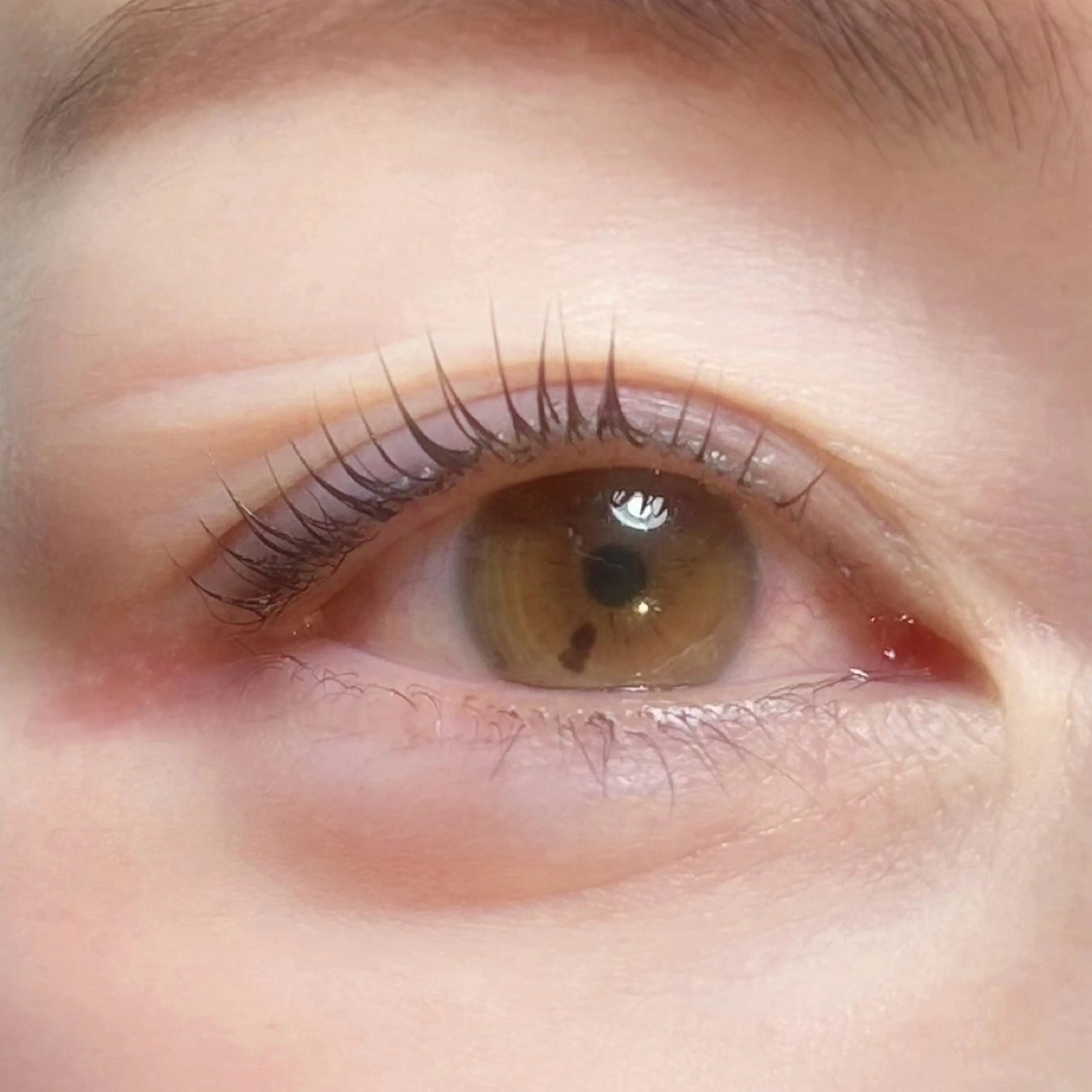 マツエク・マツパ PORTE269所属・☆ ☆のマツエク・マツパデザイン