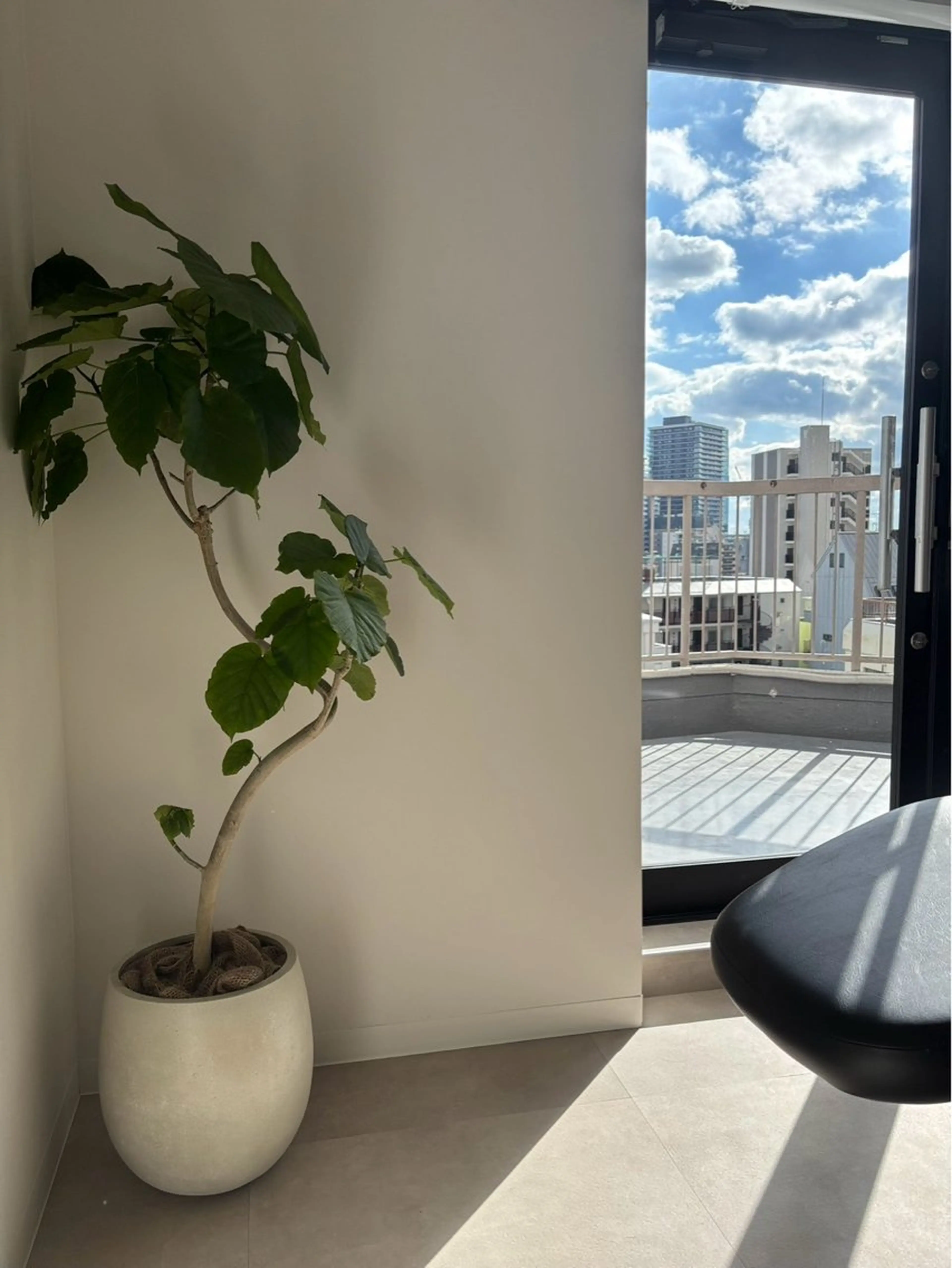 ron所属・FUNAKOSHI MADOKAのヘアスタイル