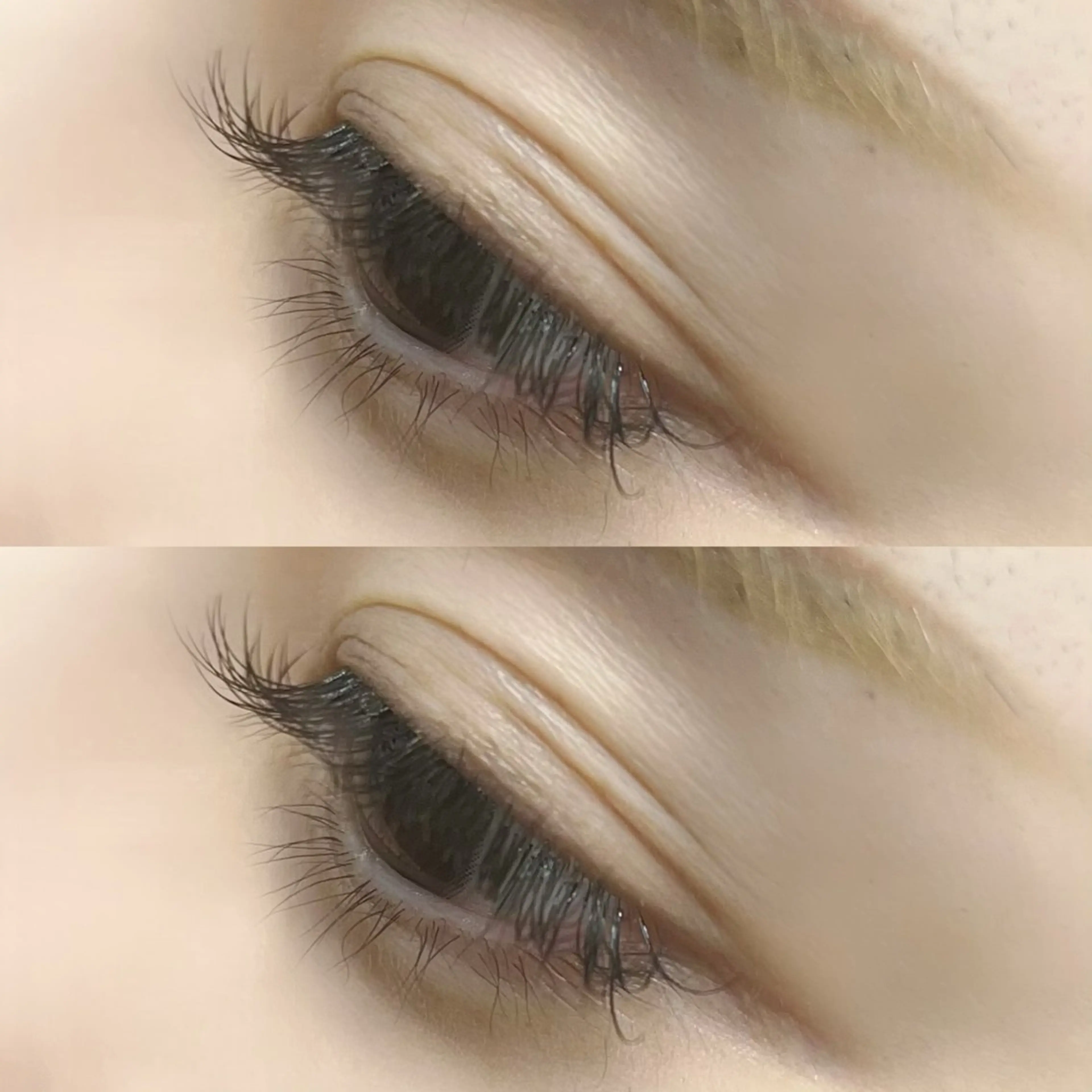 マツエク・マツパ 無料マツエク 新宿徒歩７分のマツエク・マツパデザイン