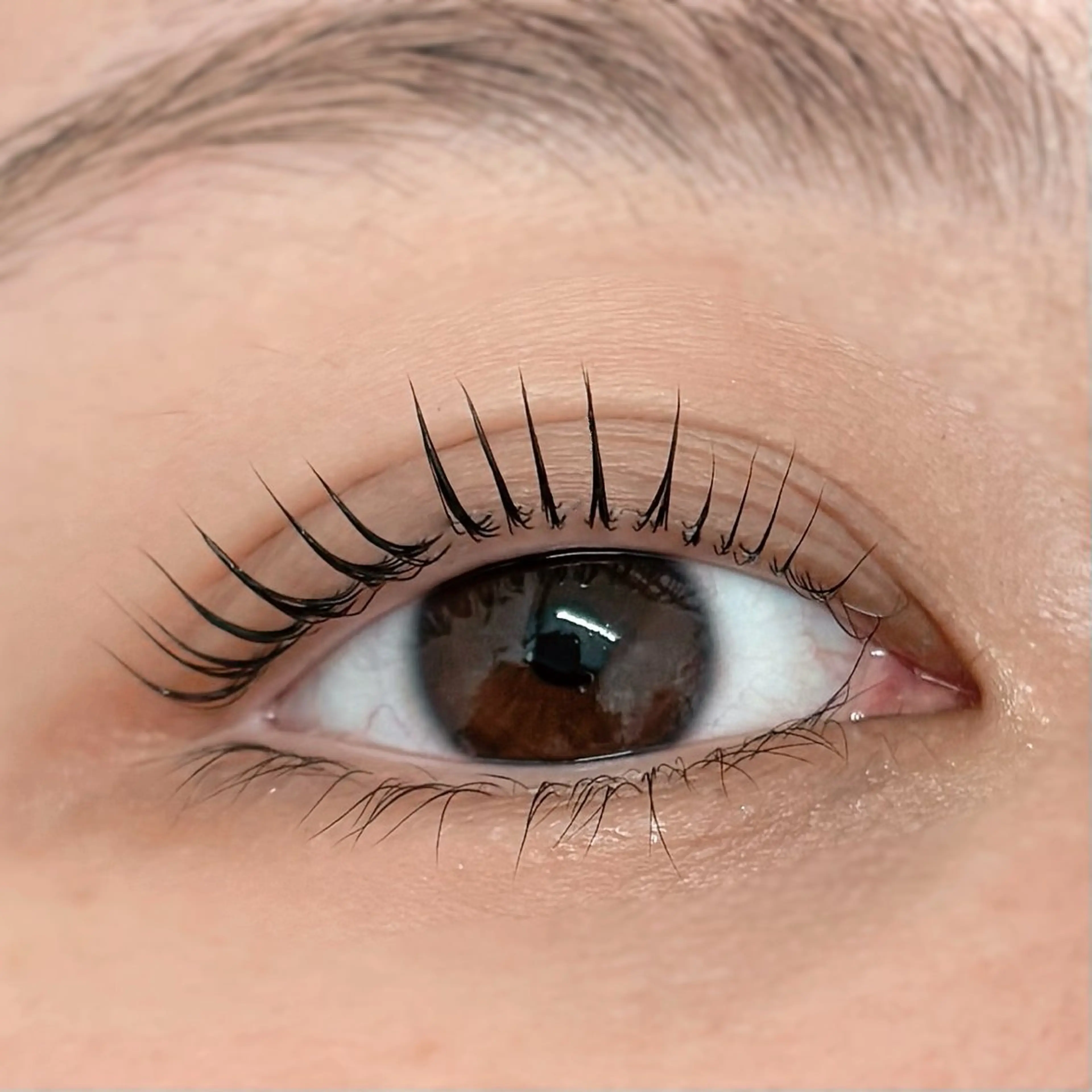 ใใใจใฏใปใใใ ใใใ ๐๐๐๐๐ ๐ฆ๐ใฎใใใจใฏใปใใใใใถใคใณ