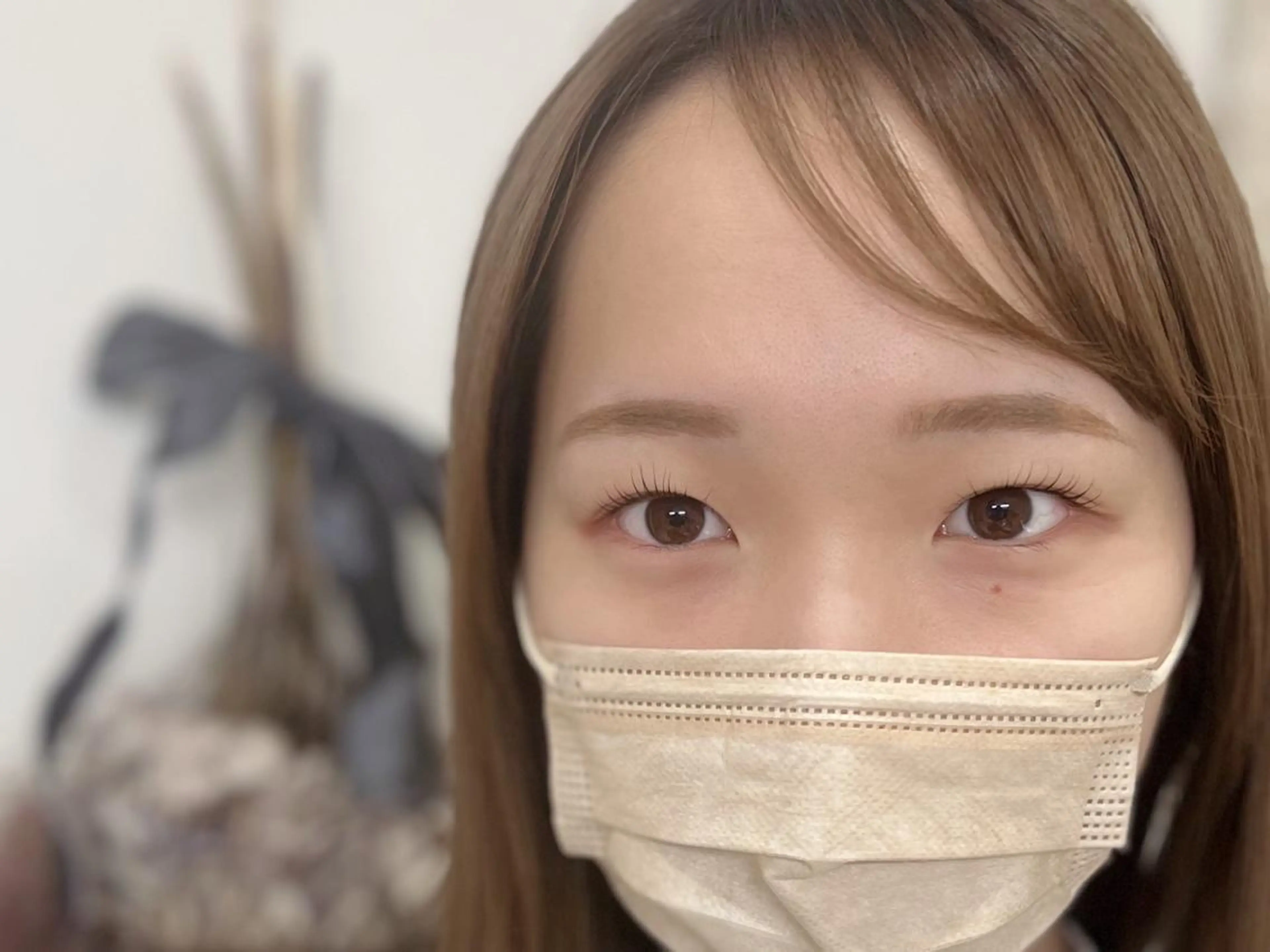 マツエク・マツパ マツパ kelly eye立町店のマツエク・マツパデザイン