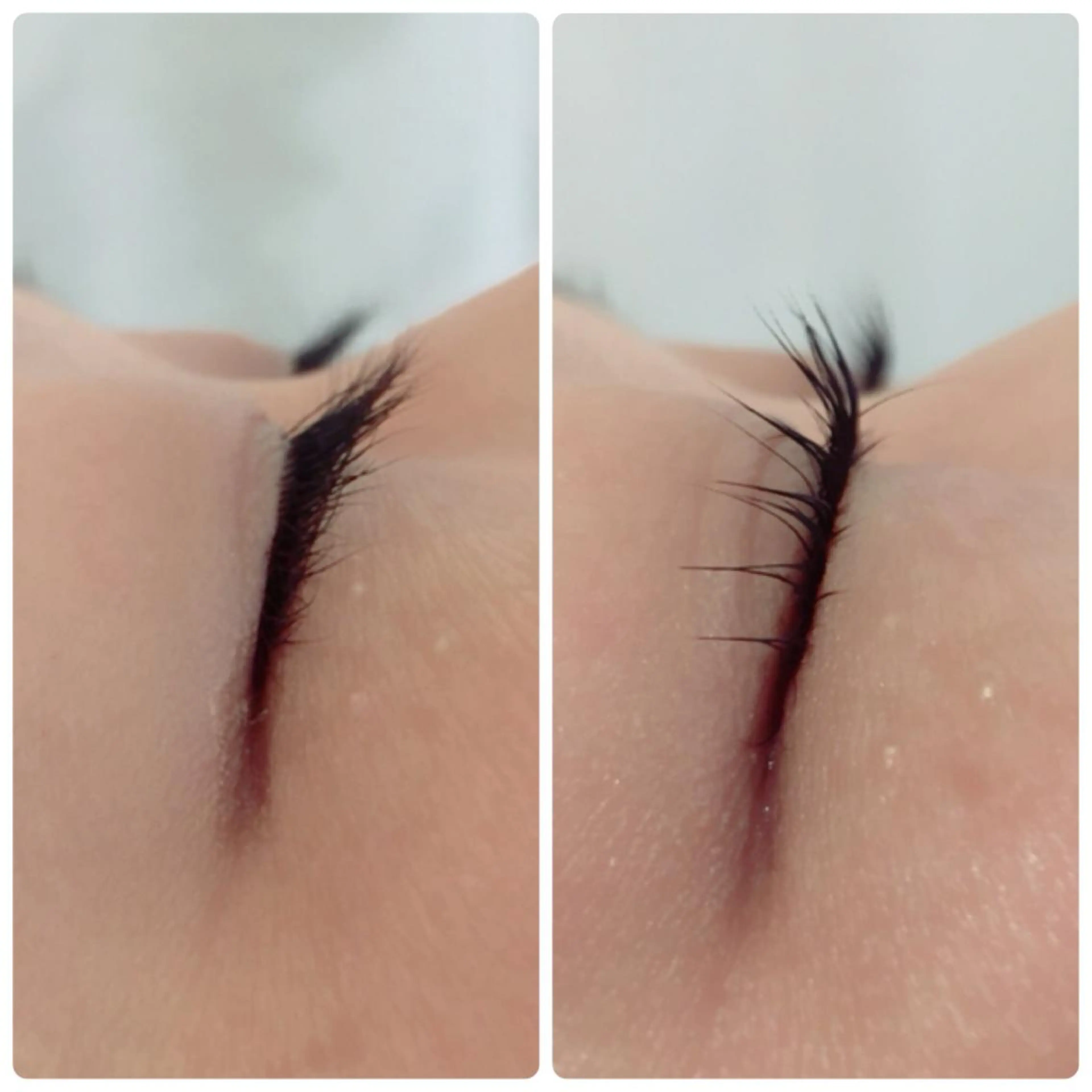 マツエク・マツパ まつげ、毛穴 TREEのエステ・リラクイメージ