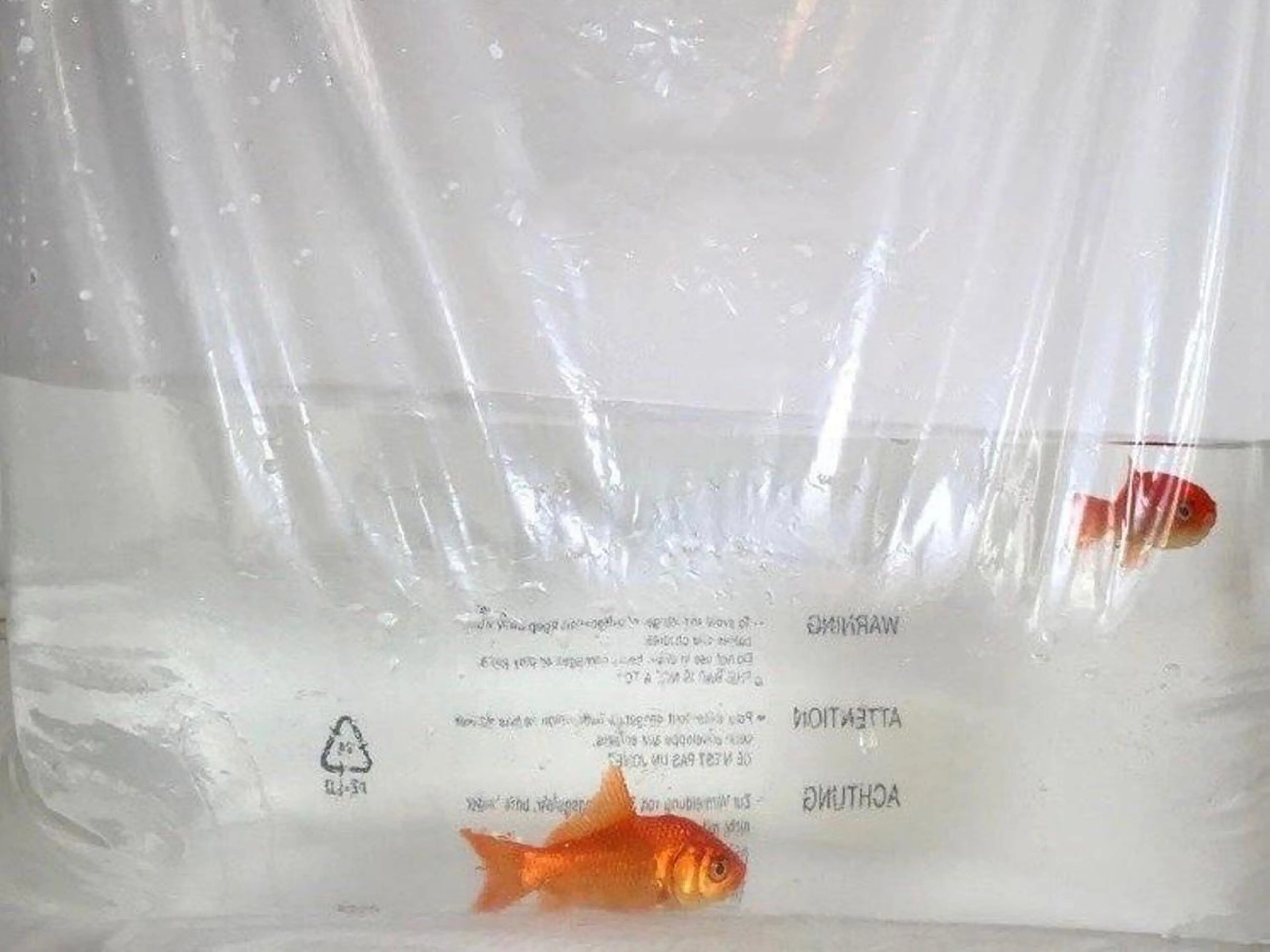 パリジェンヌ上下 恵比寿ayakaのマツエク・マツパデザイン