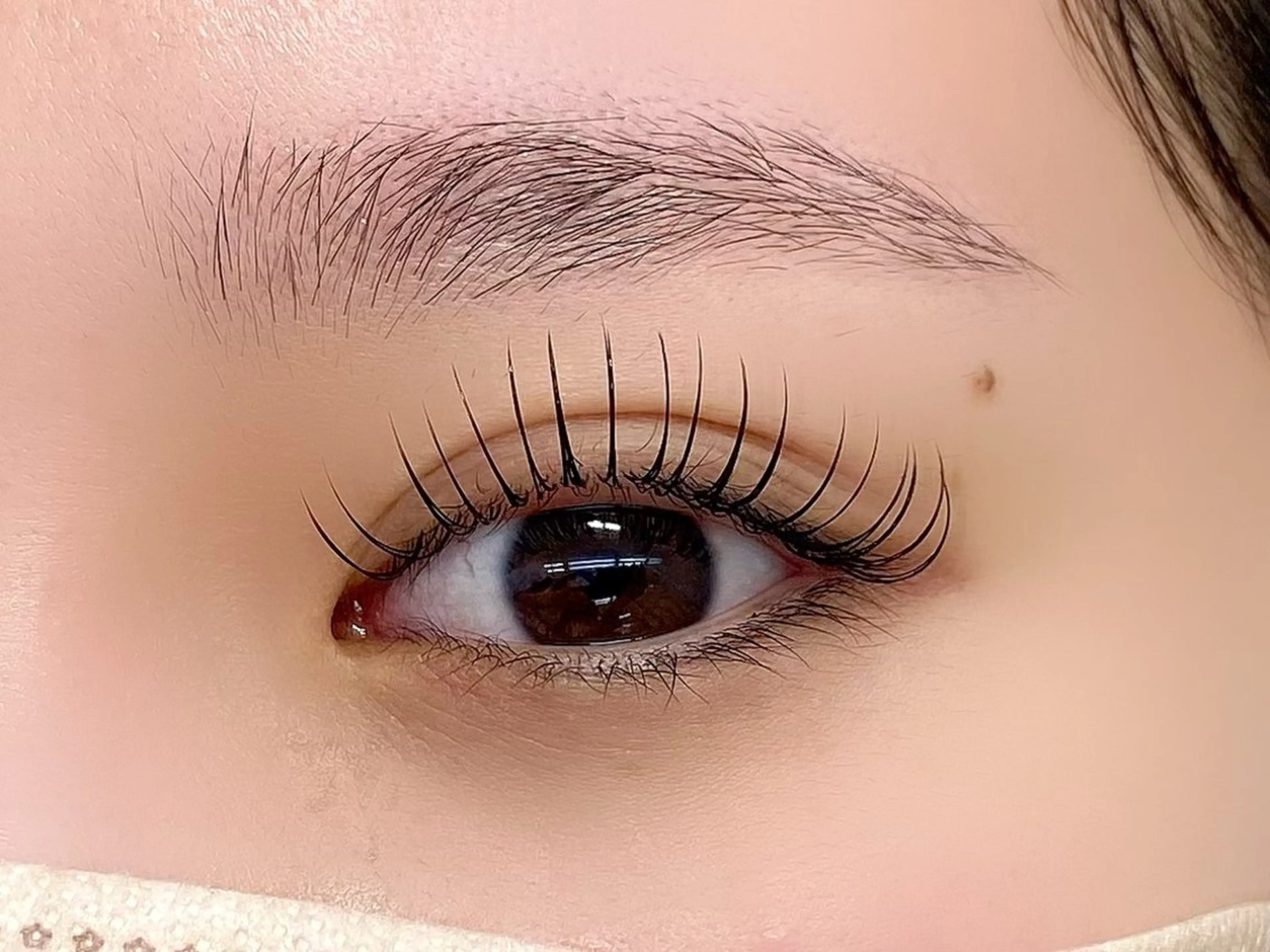 フラットマットラッシュ120本の写真