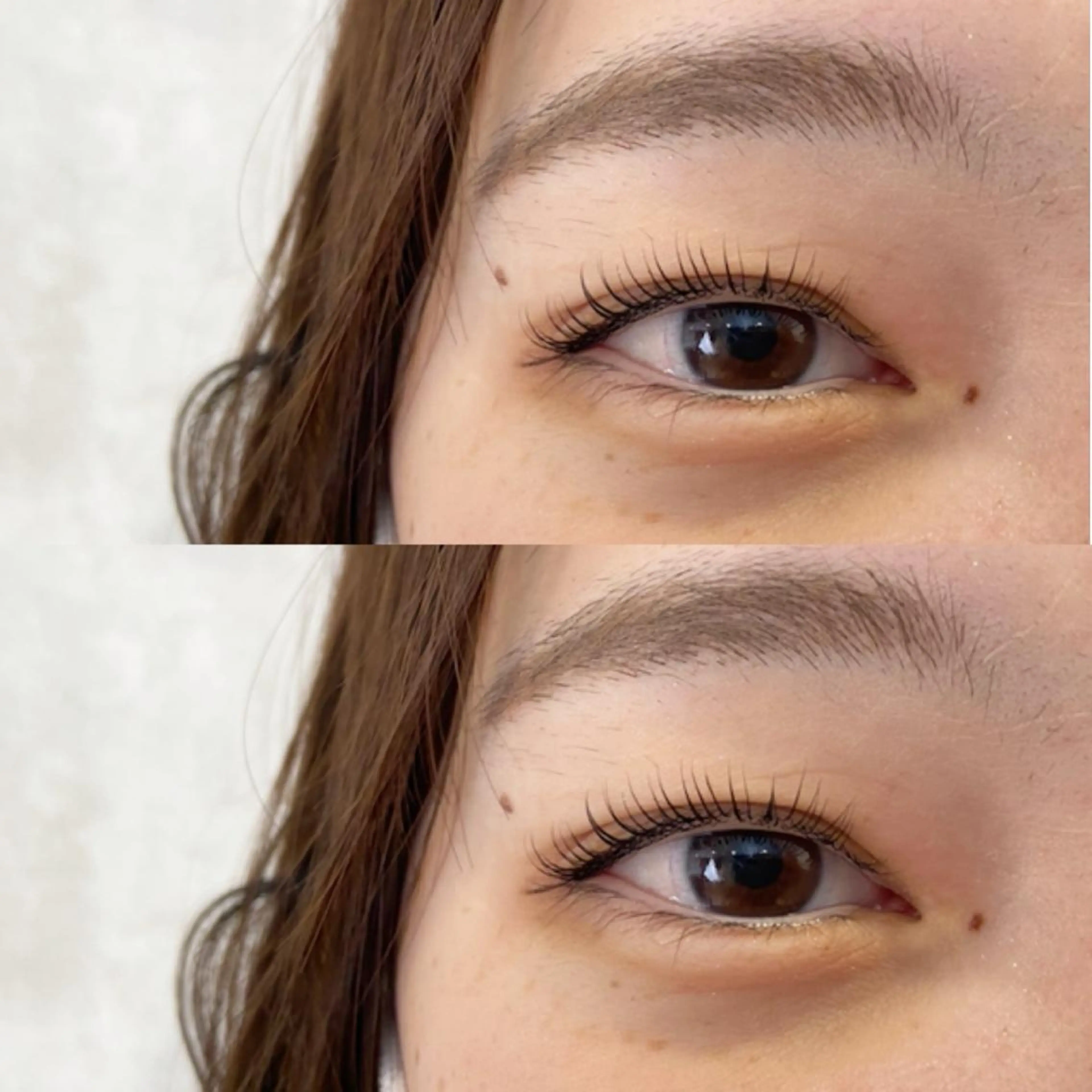 マツエク・マツパ covo eyelash所属・covo 🐻の眉毛・アイブロウイメージ