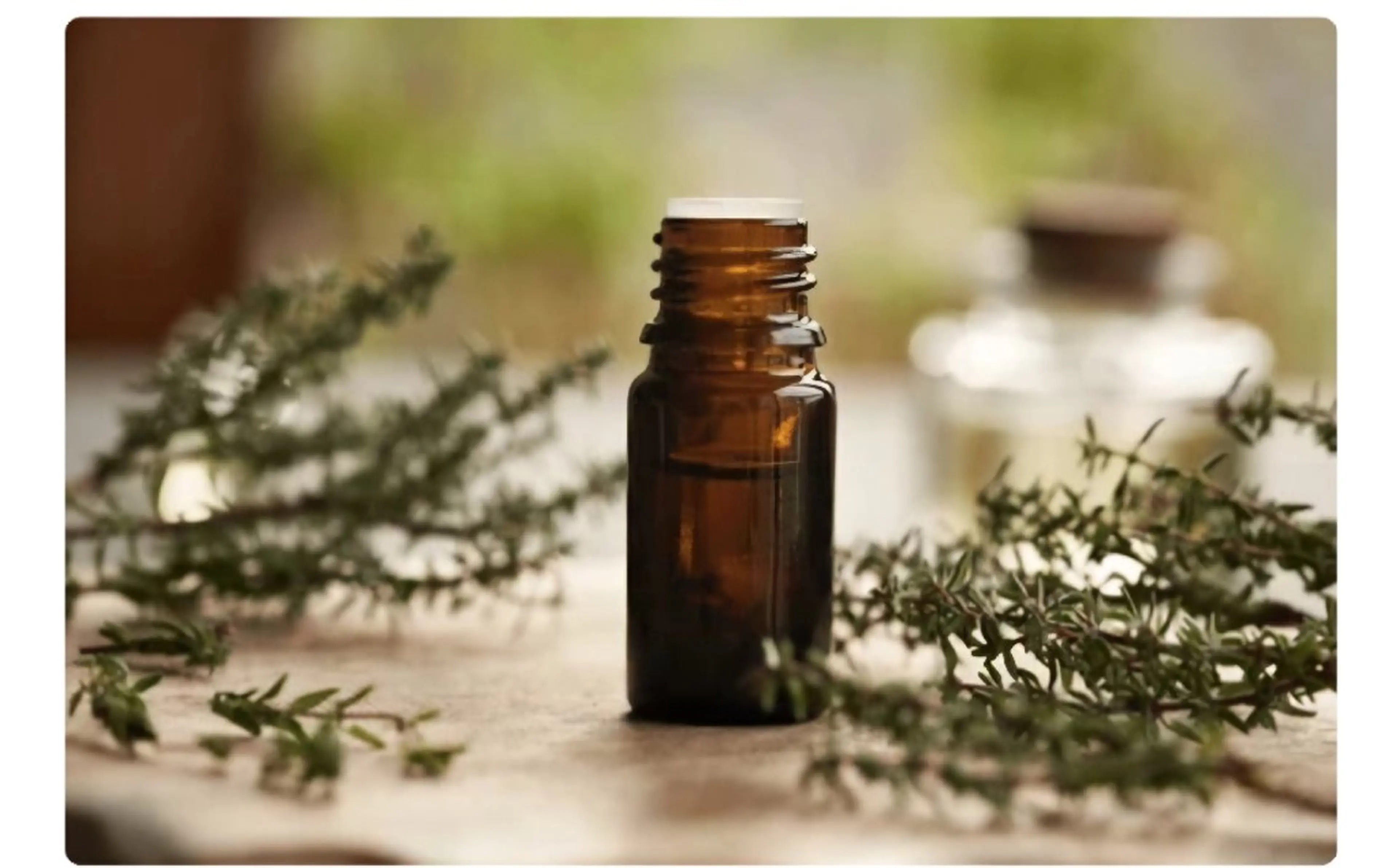 【初回限定】全身オイル90分(ヘッド・全身オイル)7,000円(税込)の写真