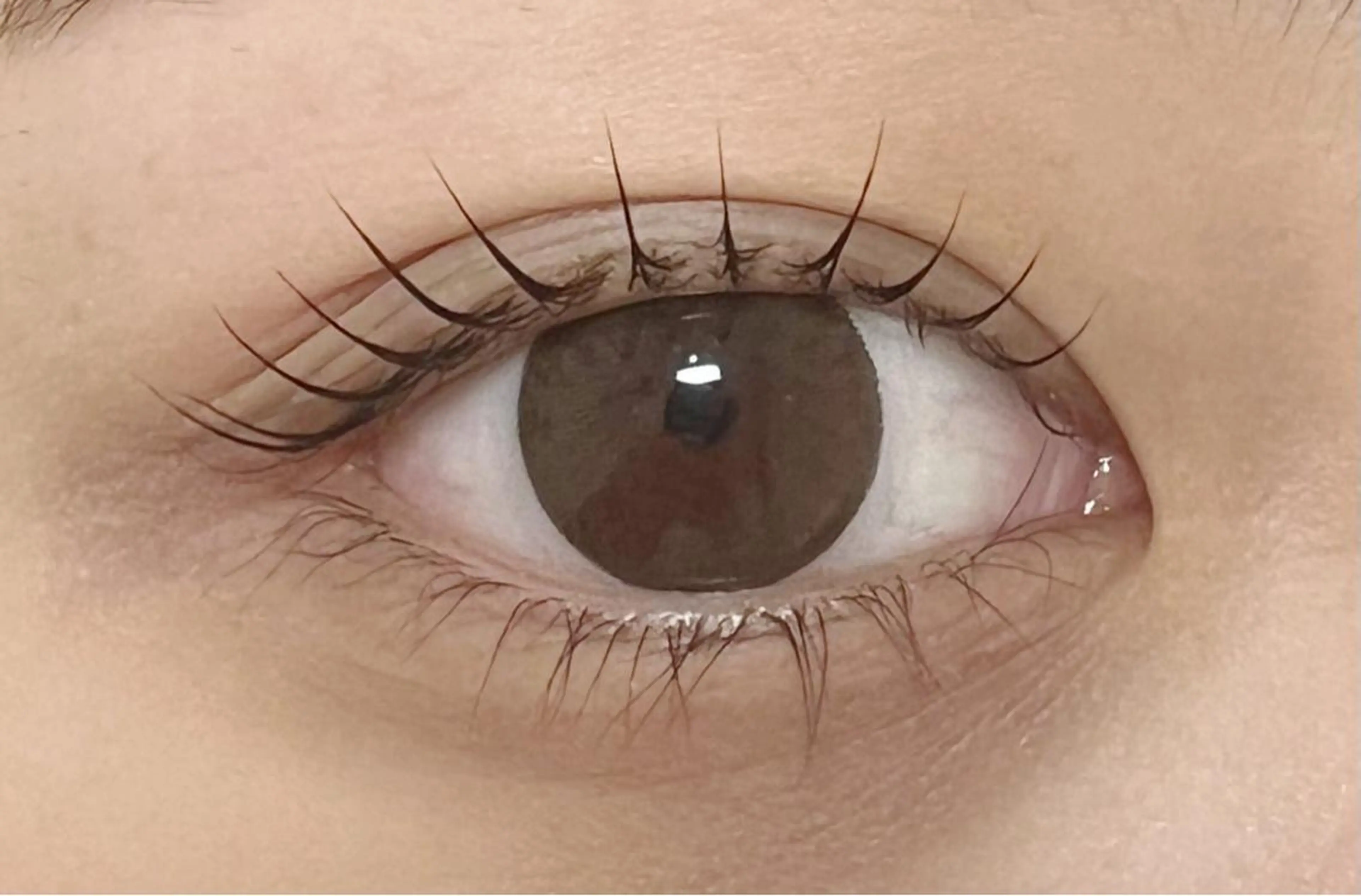 マツエク・マツパ anela shioriのマツエク・マツパデザイン