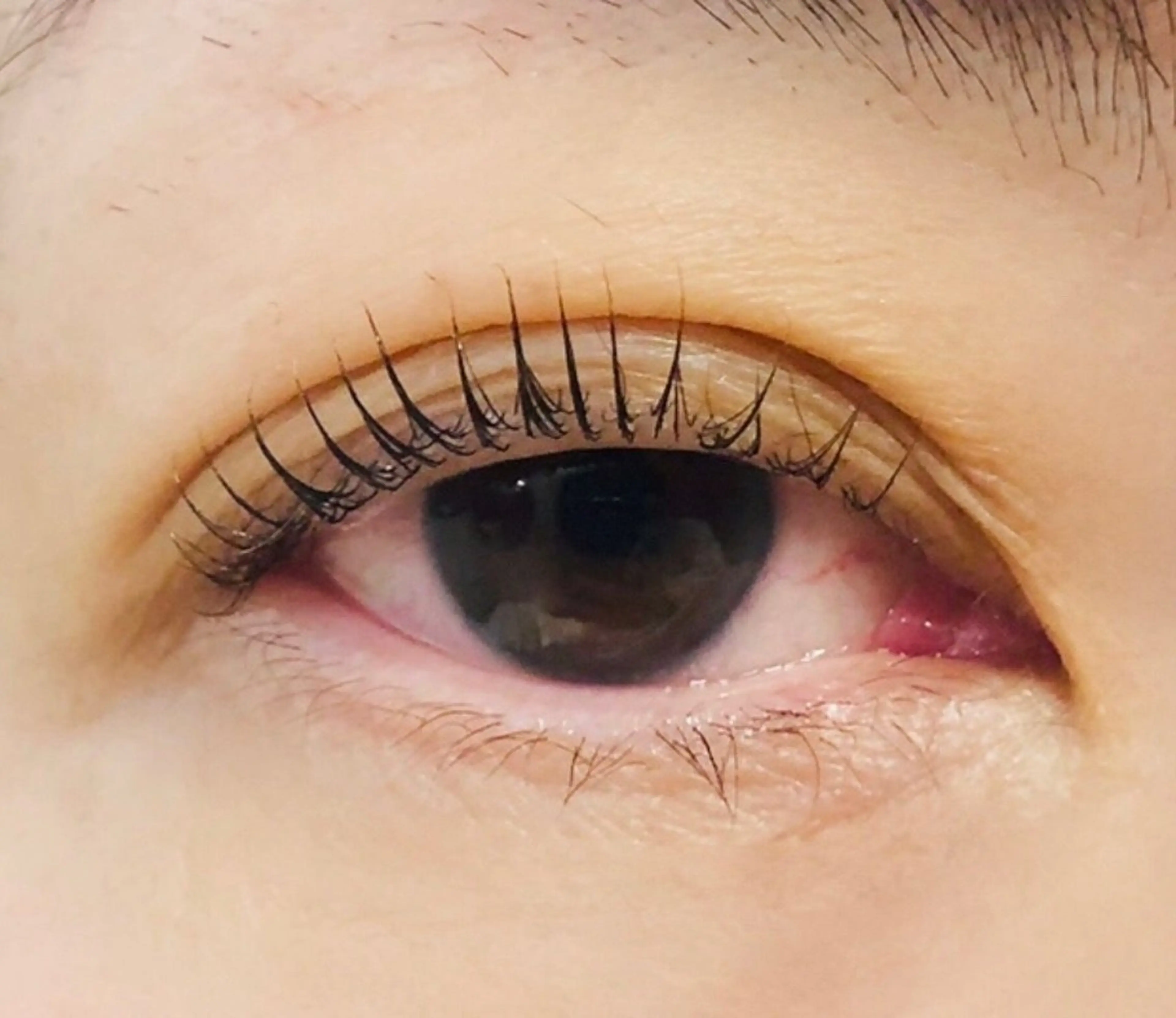 マツエク・マツパ マツパ EYELASHSALON  LUNA LUNA所属・LUNA LUNA byOean’S田中のマツエク・マツパデザイン